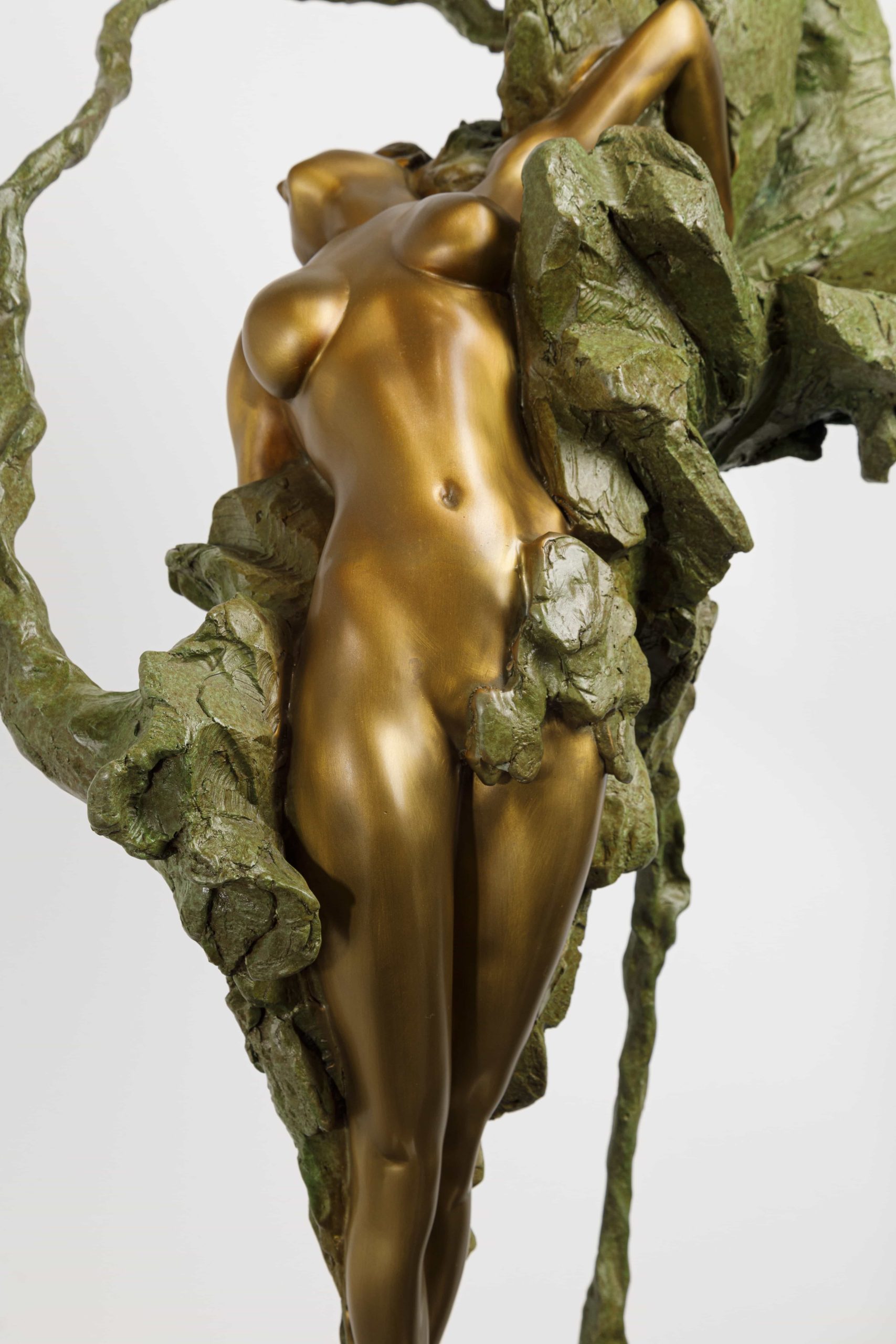 Eastern Venus - Image 4