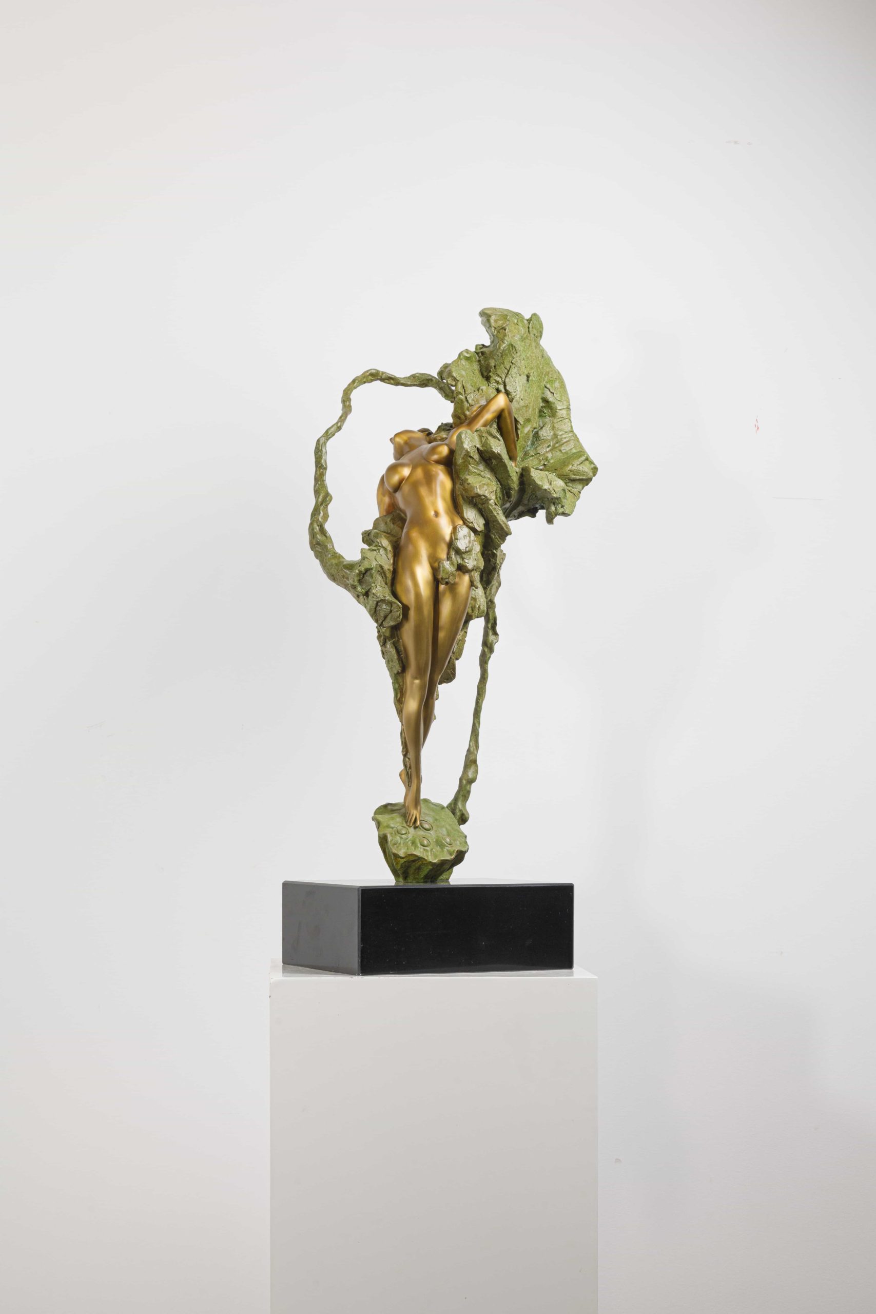 Eastern Venus - Image 5