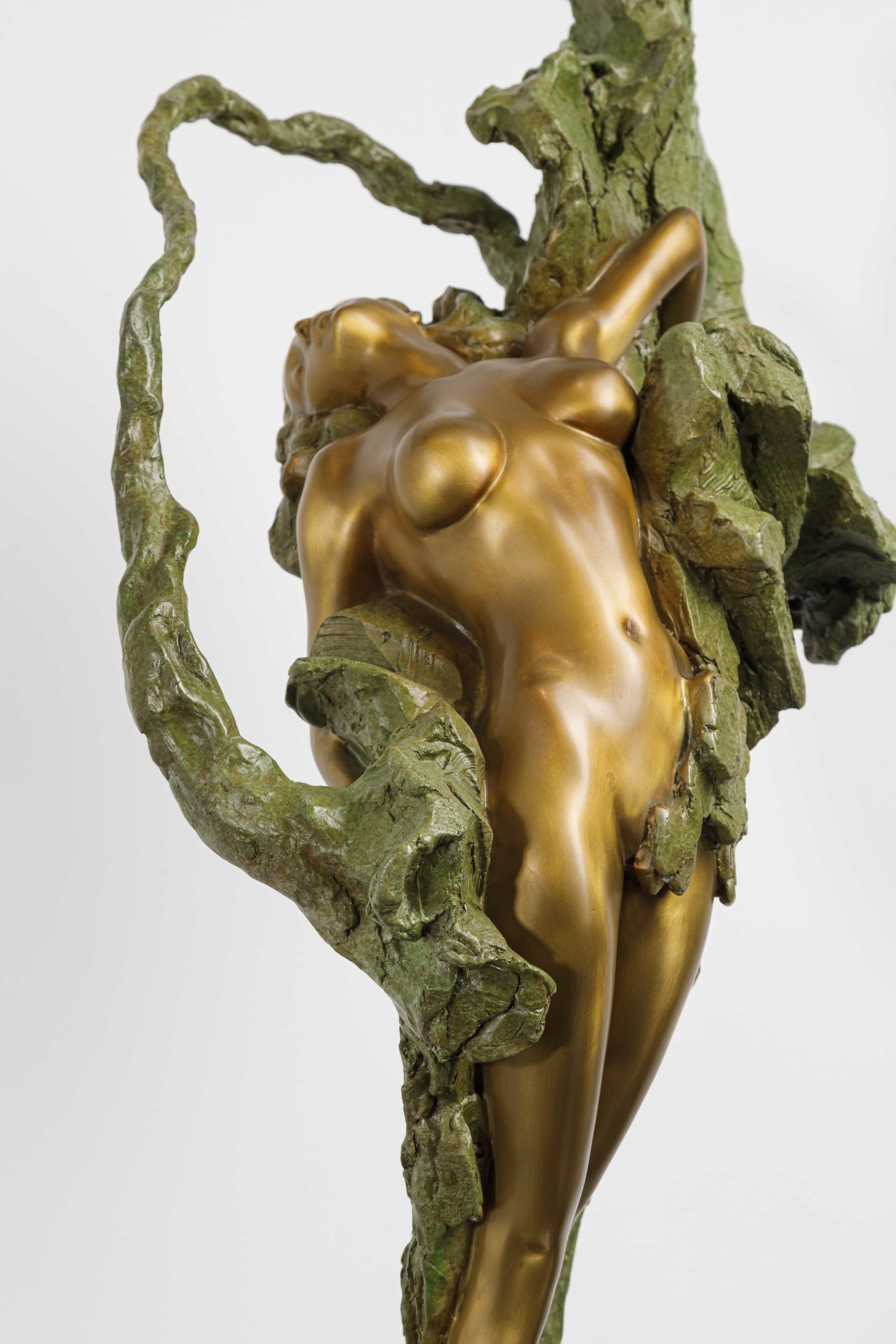 Eastern Venus - Image 6