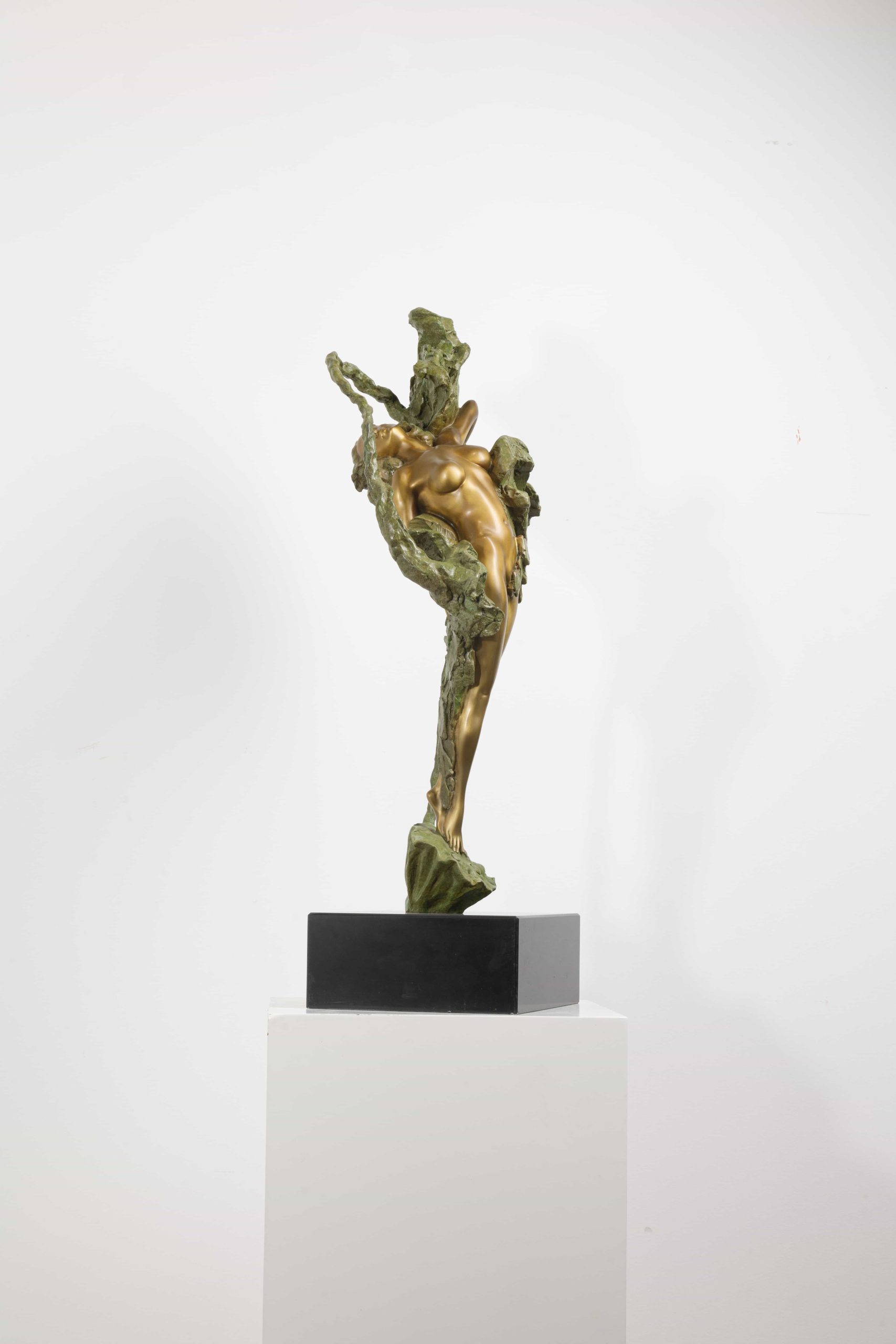 Eastern Venus