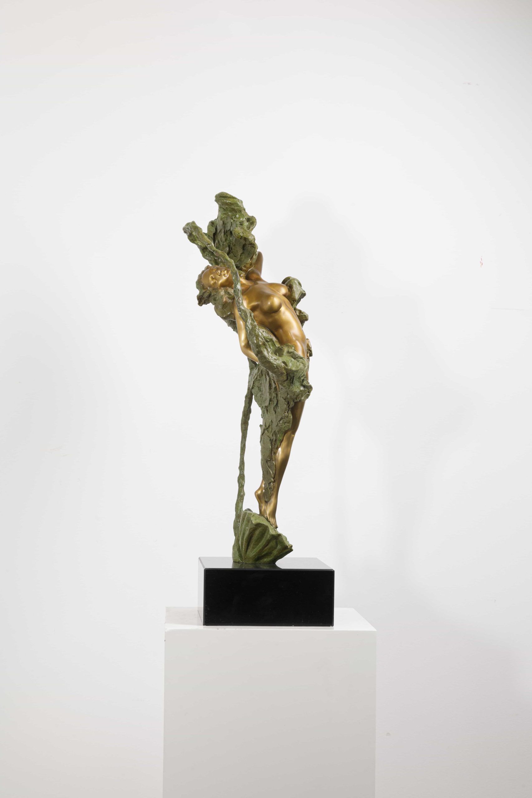 Eastern Venus - Image 10