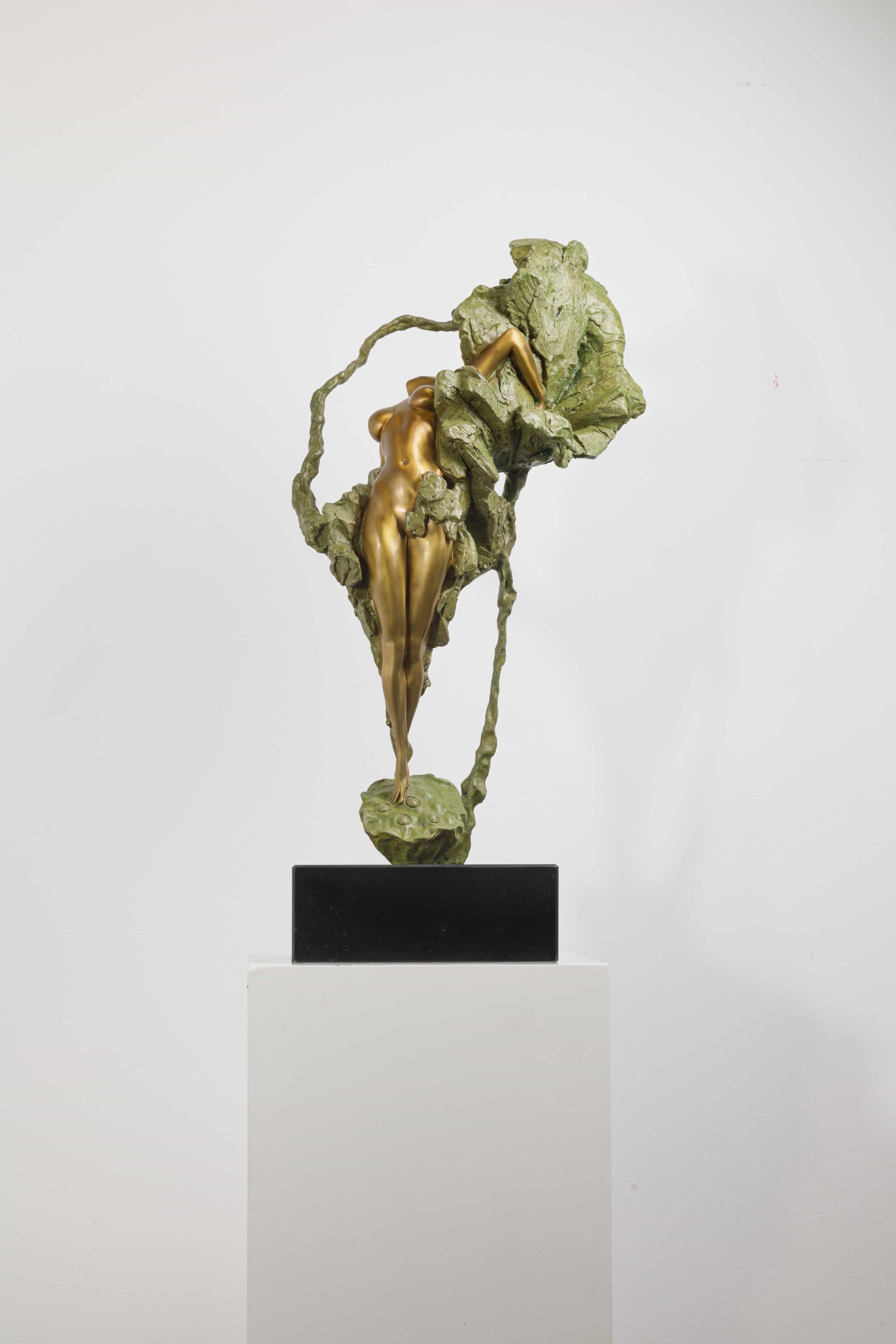 Eastern Venus - Image 2