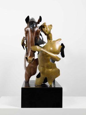 horse and human