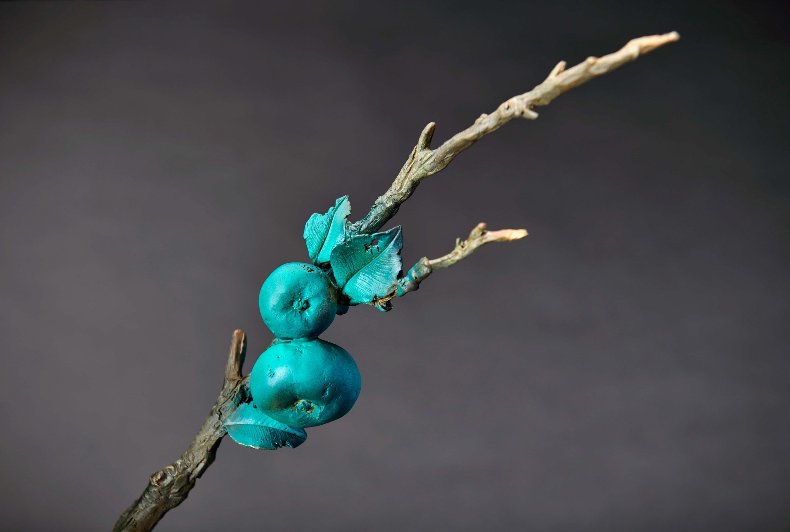 Birds on persimmon branch over scholars rocks — persimmon branch detail.