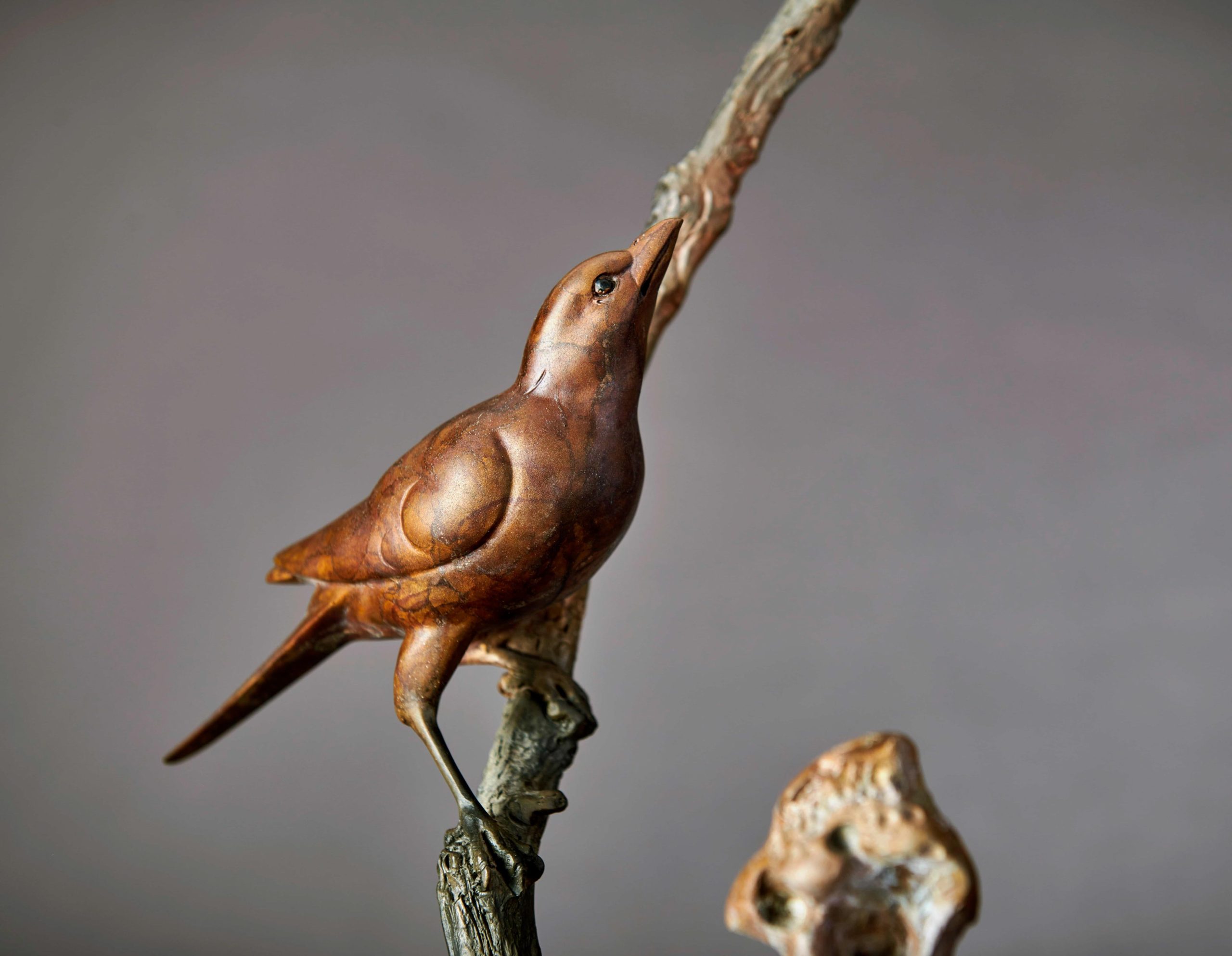 Birds on persimmon branch over scholars rocks — bird close-up.