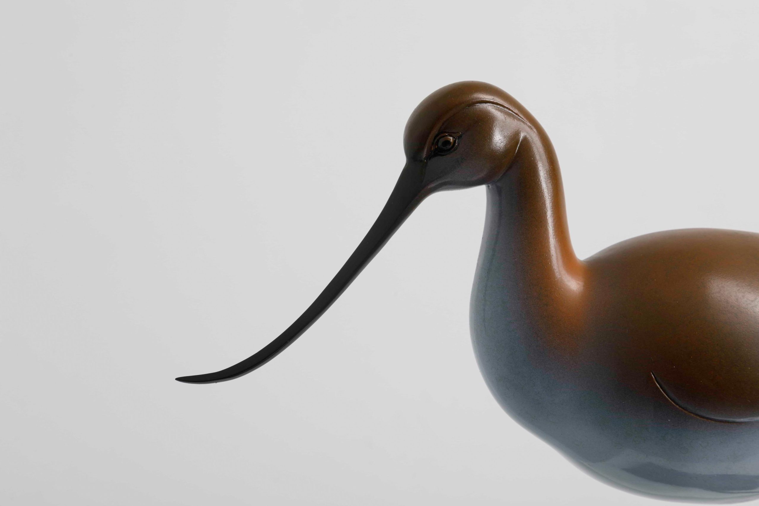 Bronze shorebird with upswept beak — head and beak close-up.