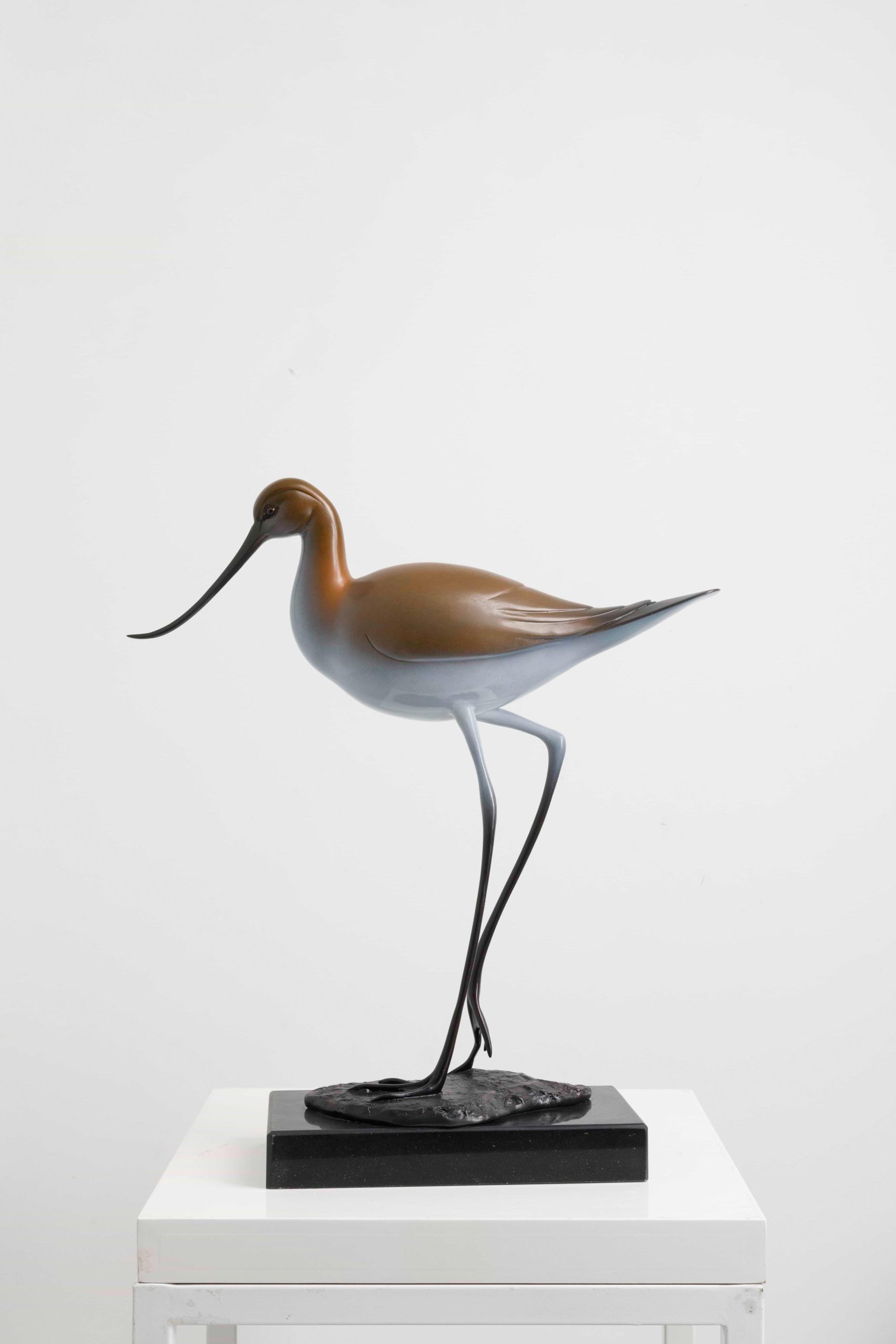 Bronze shorebird with upswept beak — front full view.
