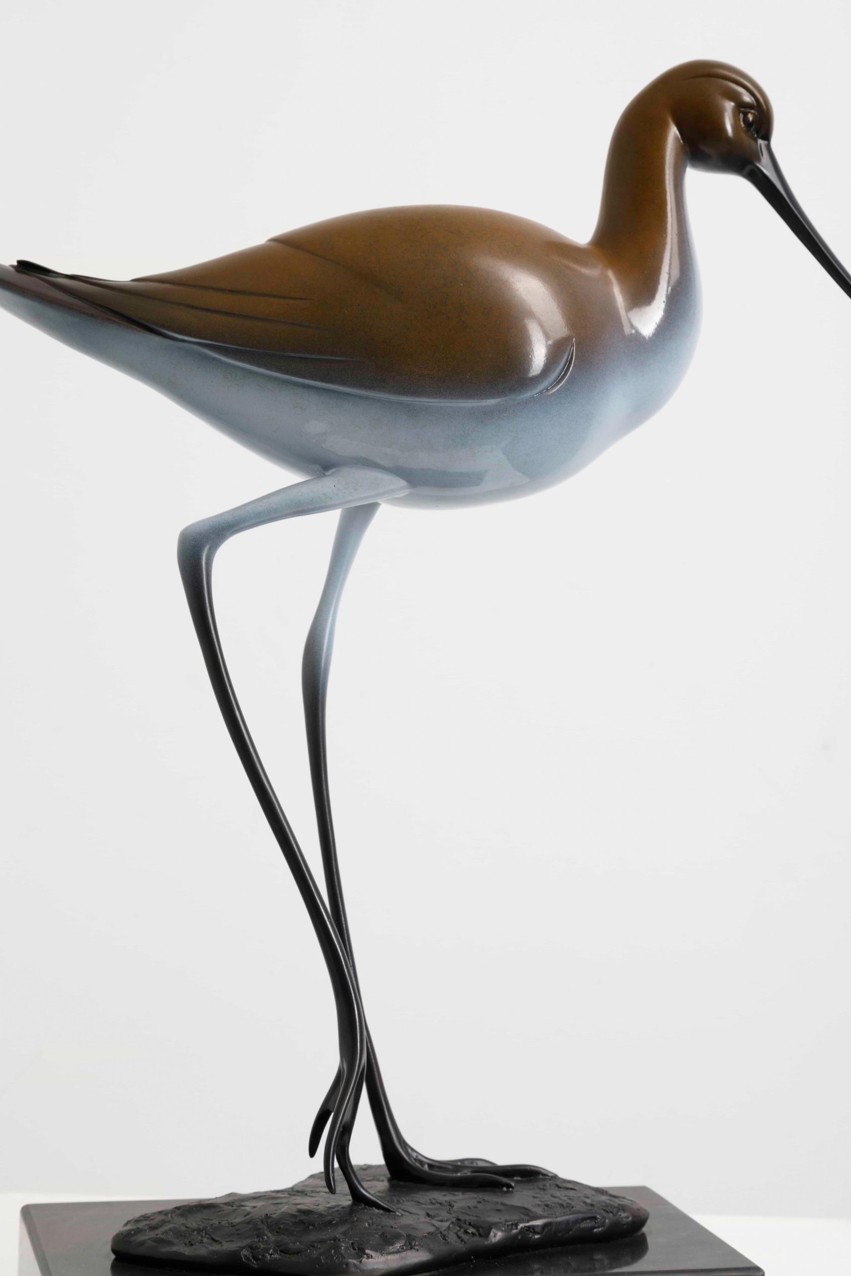Bronze shorebird with upswept beak — side view.