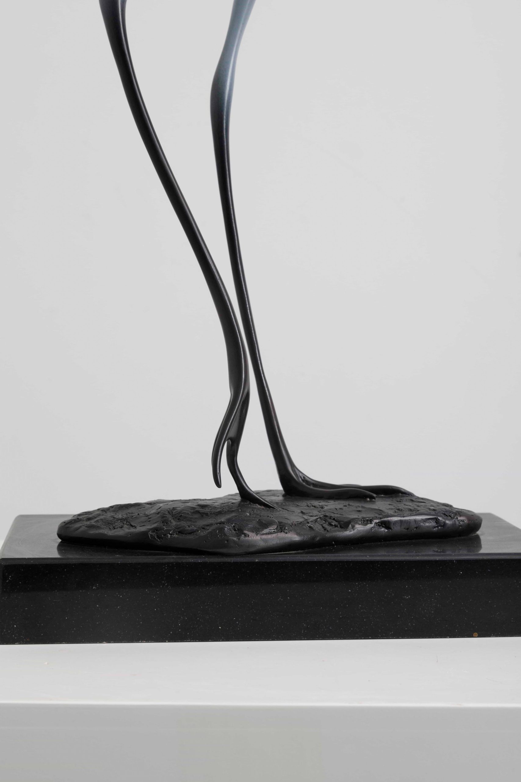 Bronze shorebird with upswept beak — legs and base detail.