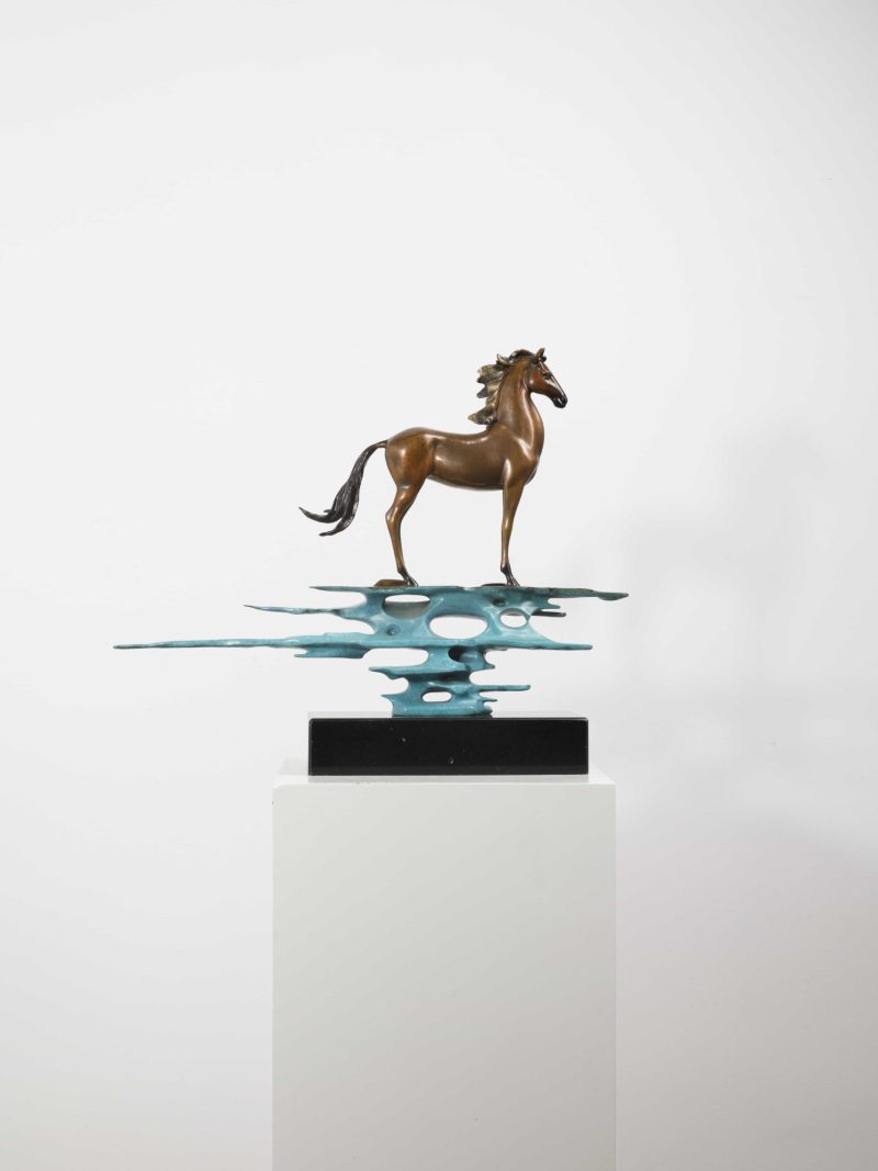 The horse in the wind