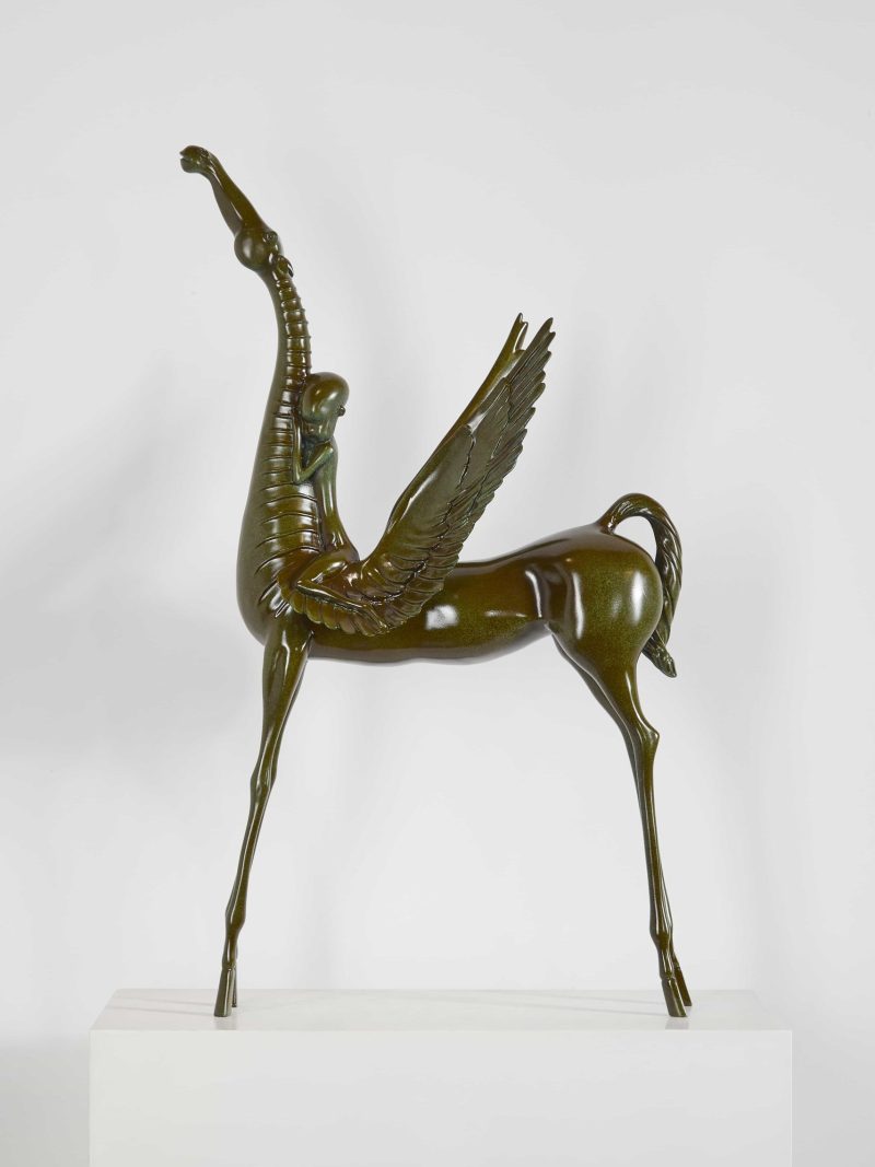Pegasus and human