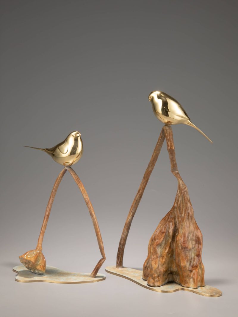 Poetic withered lotus flowers, birds