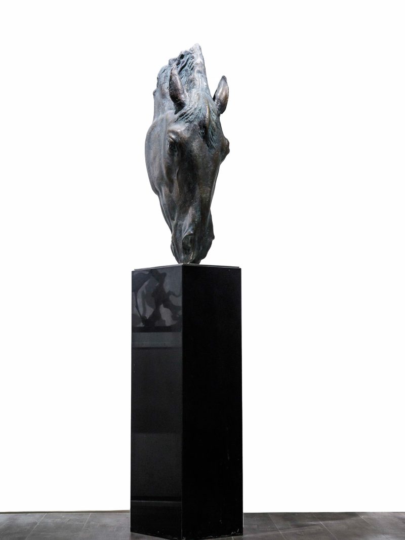 horse's head