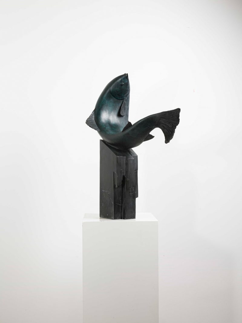 The leaping fish2
