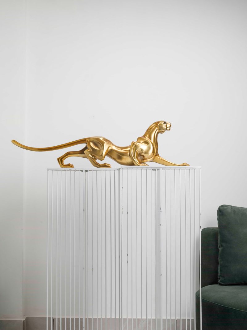 Luxurious cheetah 2