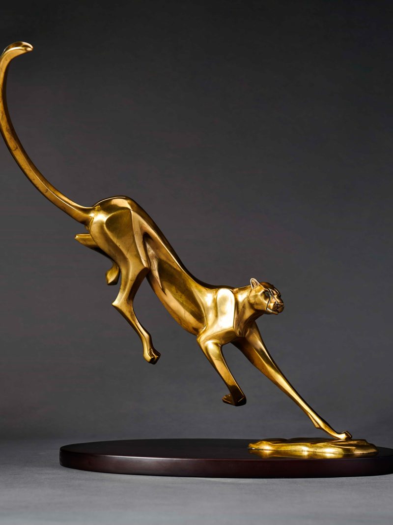 Luxurious cheetah 3