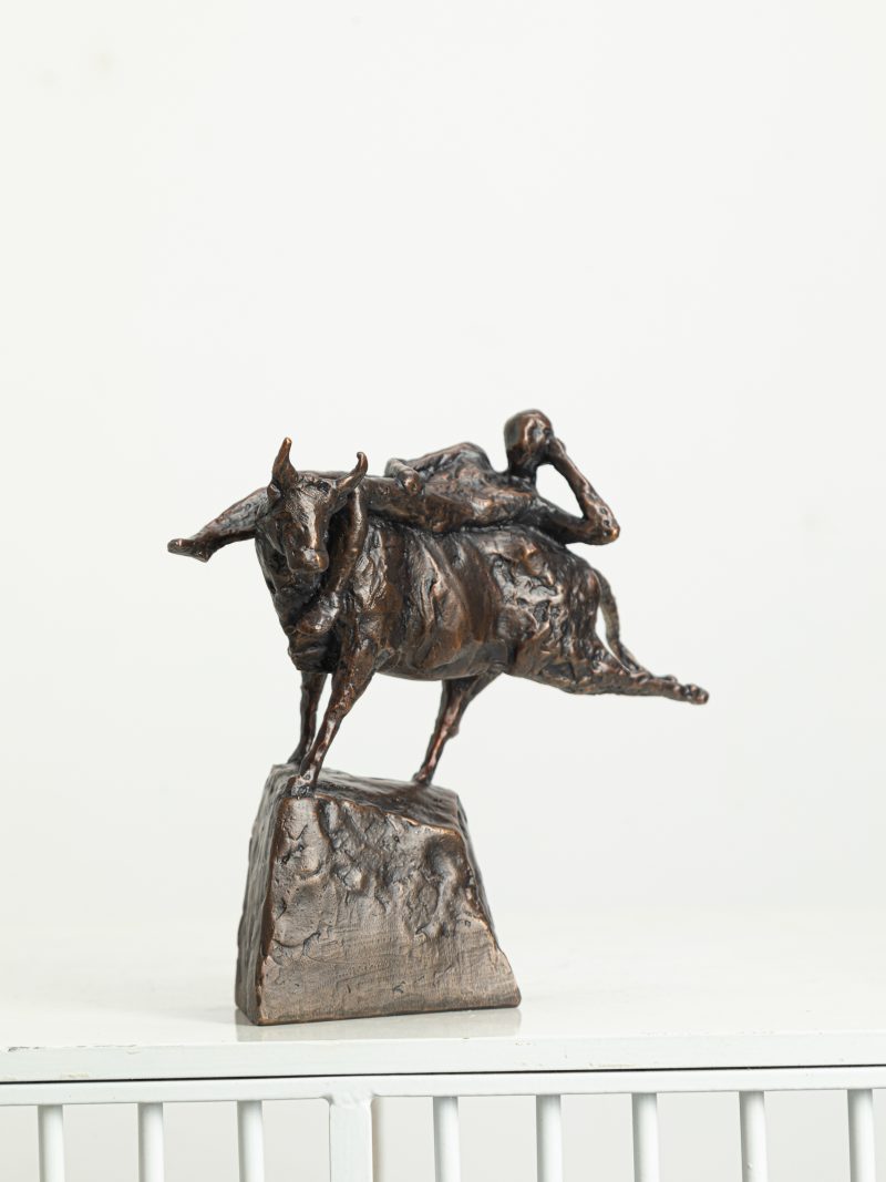 Man and bull