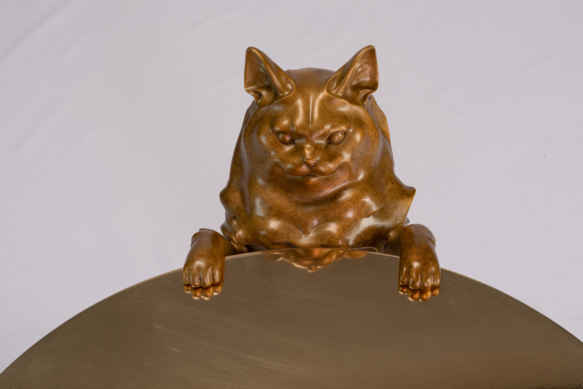 Close-up of the bronze cat's face and paws at the table edge