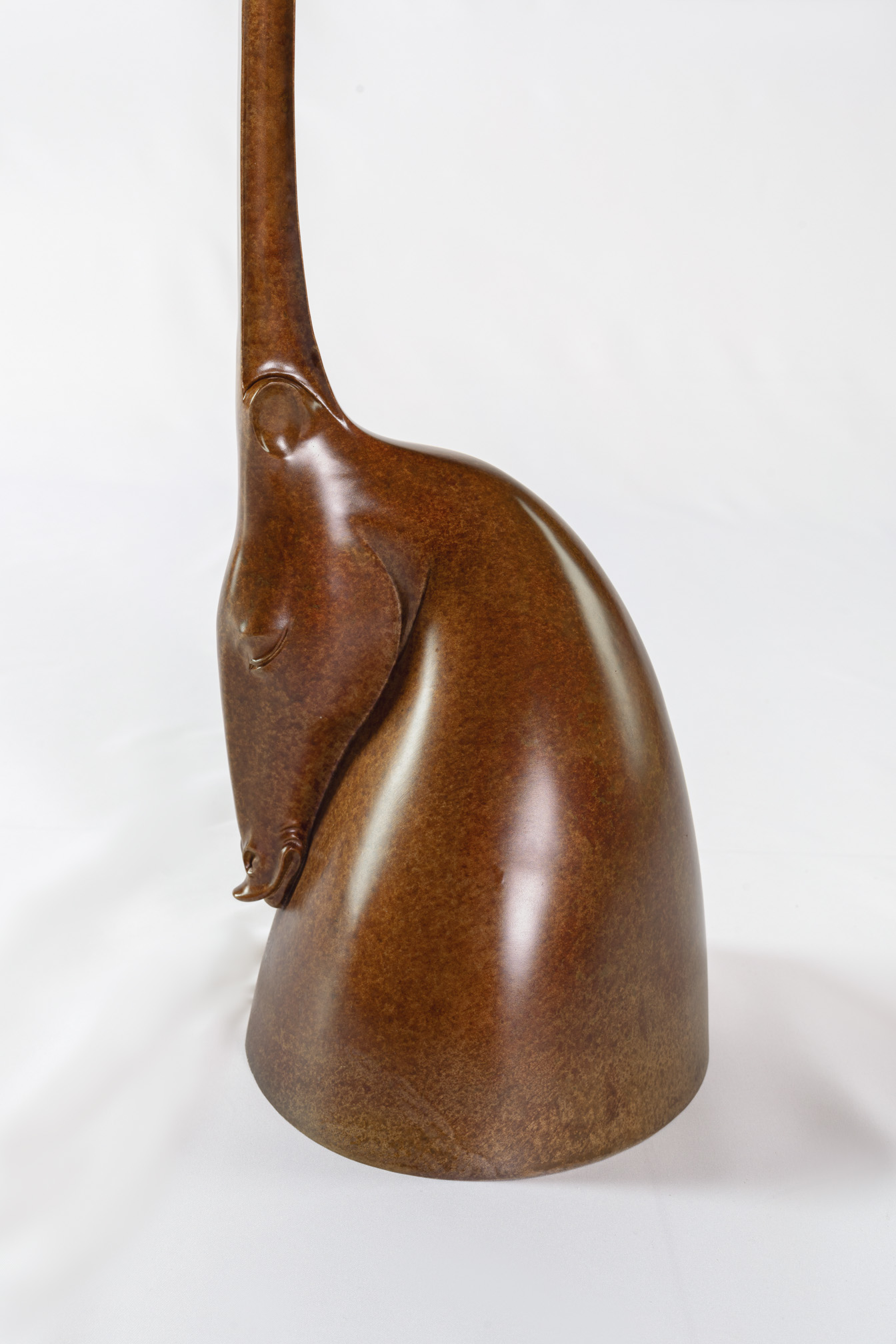 Close-up of the grazing horse head and neck forming the table column