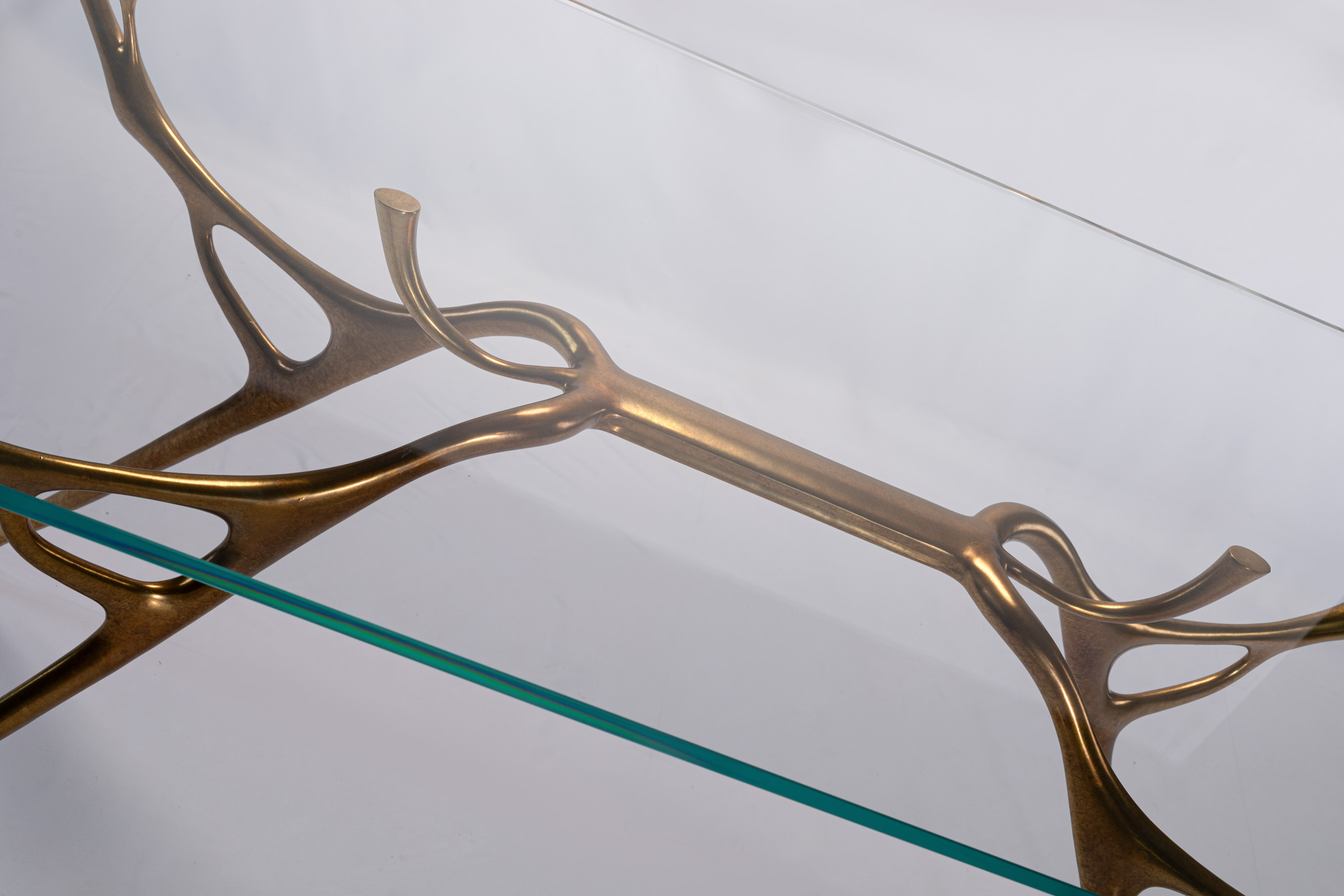 Close-up of the abstract branch form under the glass top