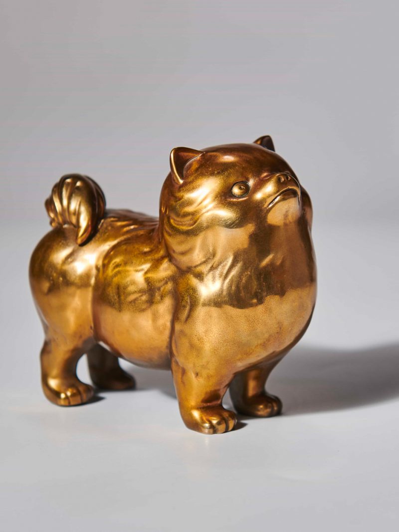 The golden puppy