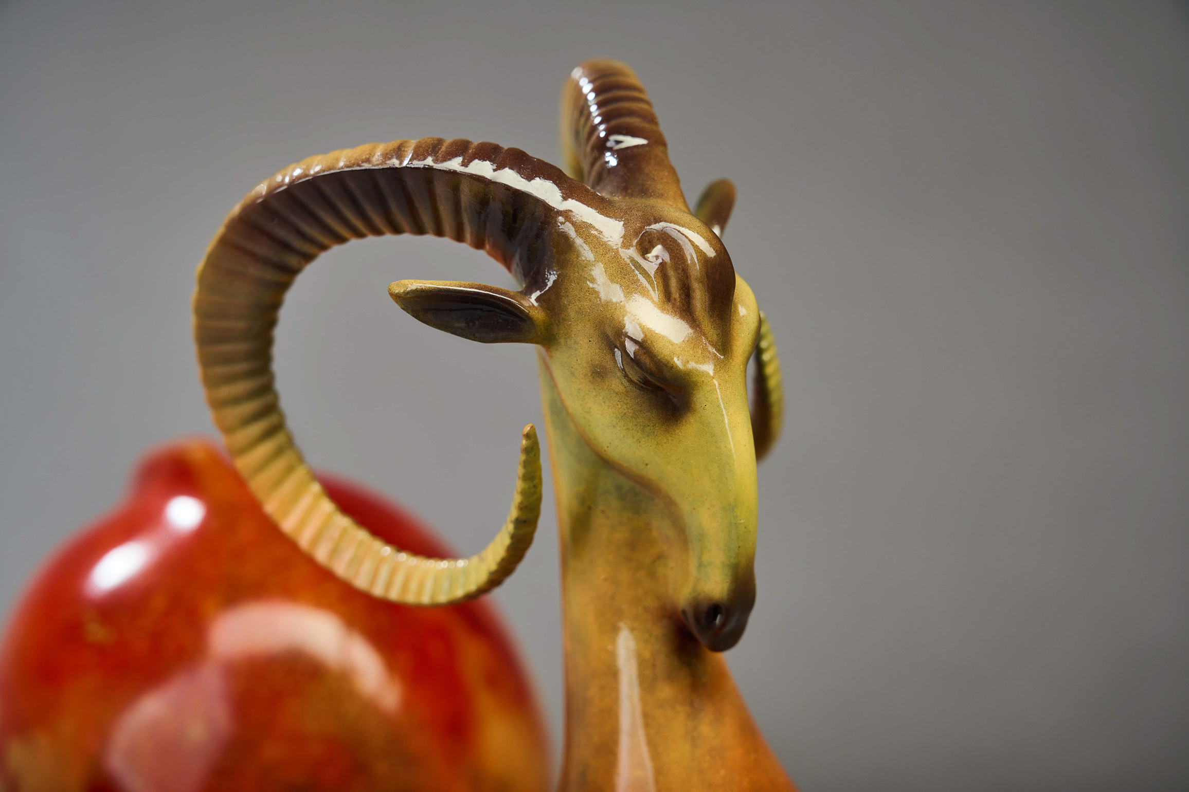 Red-and-gold argali ram with curled horns — head and horn close-up.