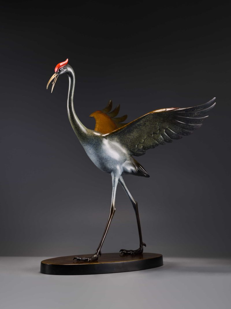 The crane spreading its wings