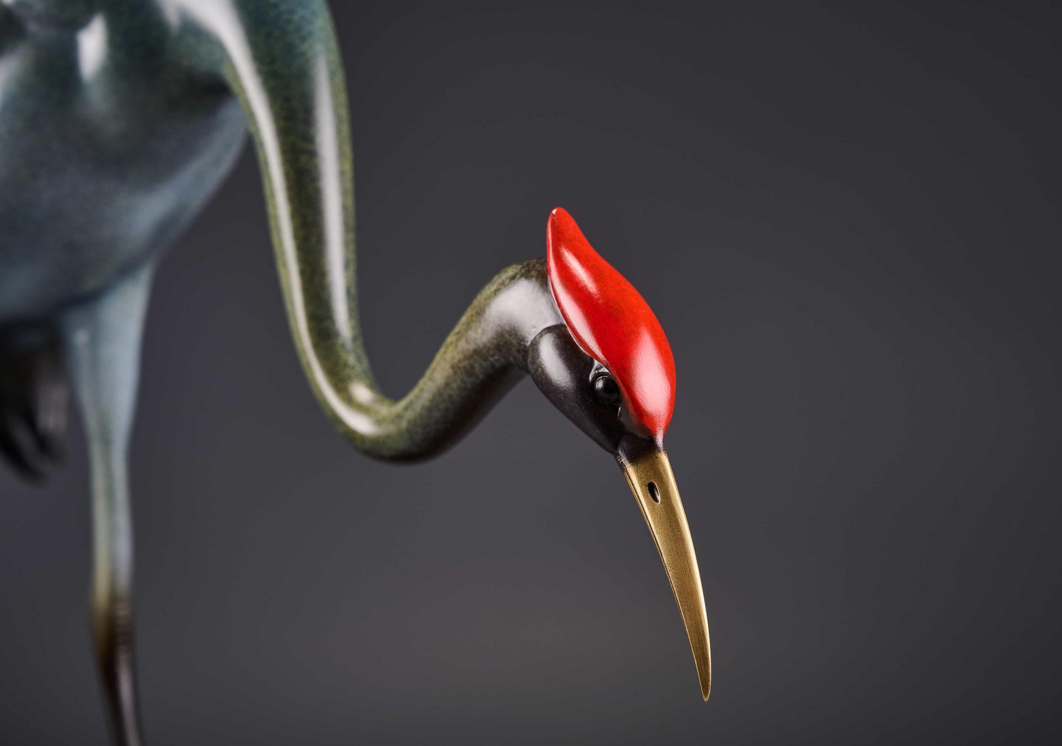 Red-crowned crane preening — head close-up.
