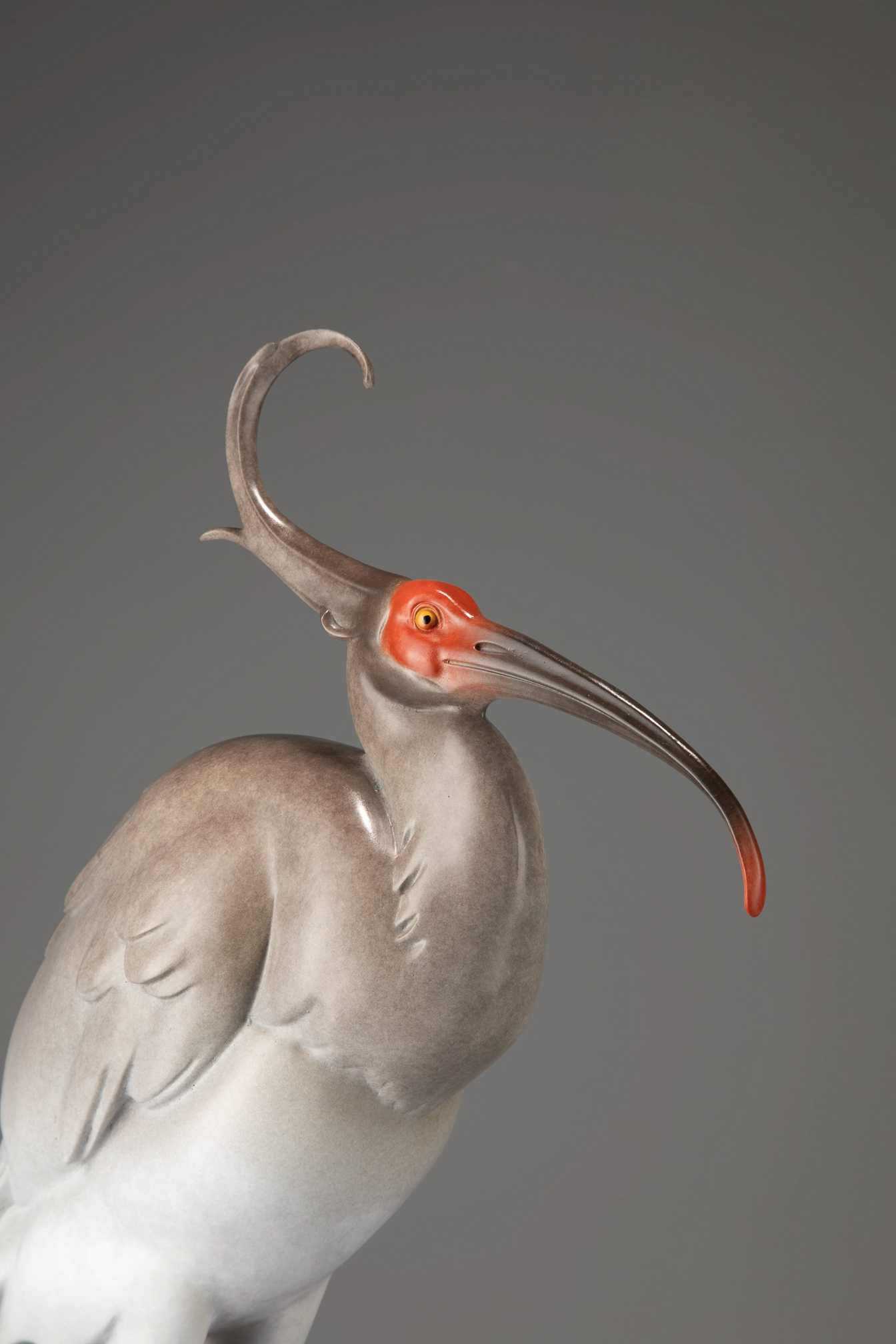 Crested ibis on marble base — head close-up.