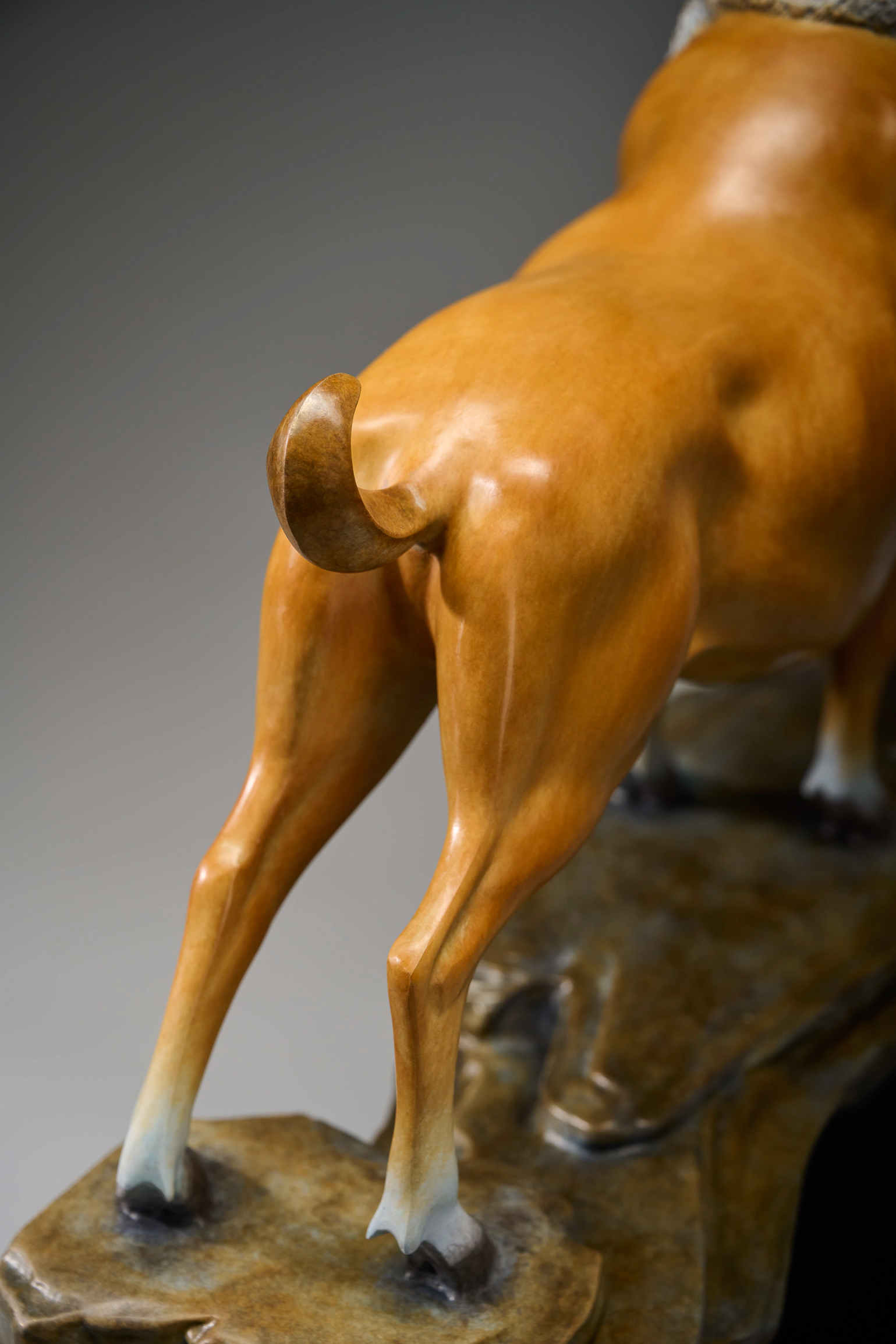 Golden ibex on rock (two sizes) — hind legs close-up.