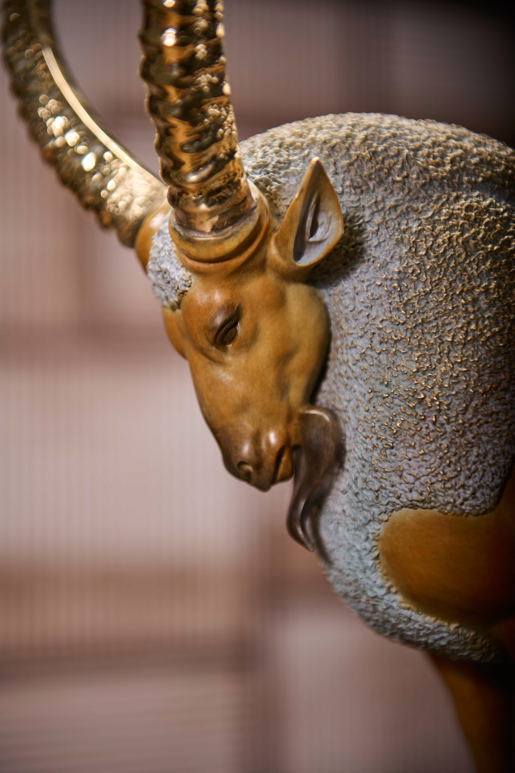 Golden ibex on rock (two sizes) — head close-up.