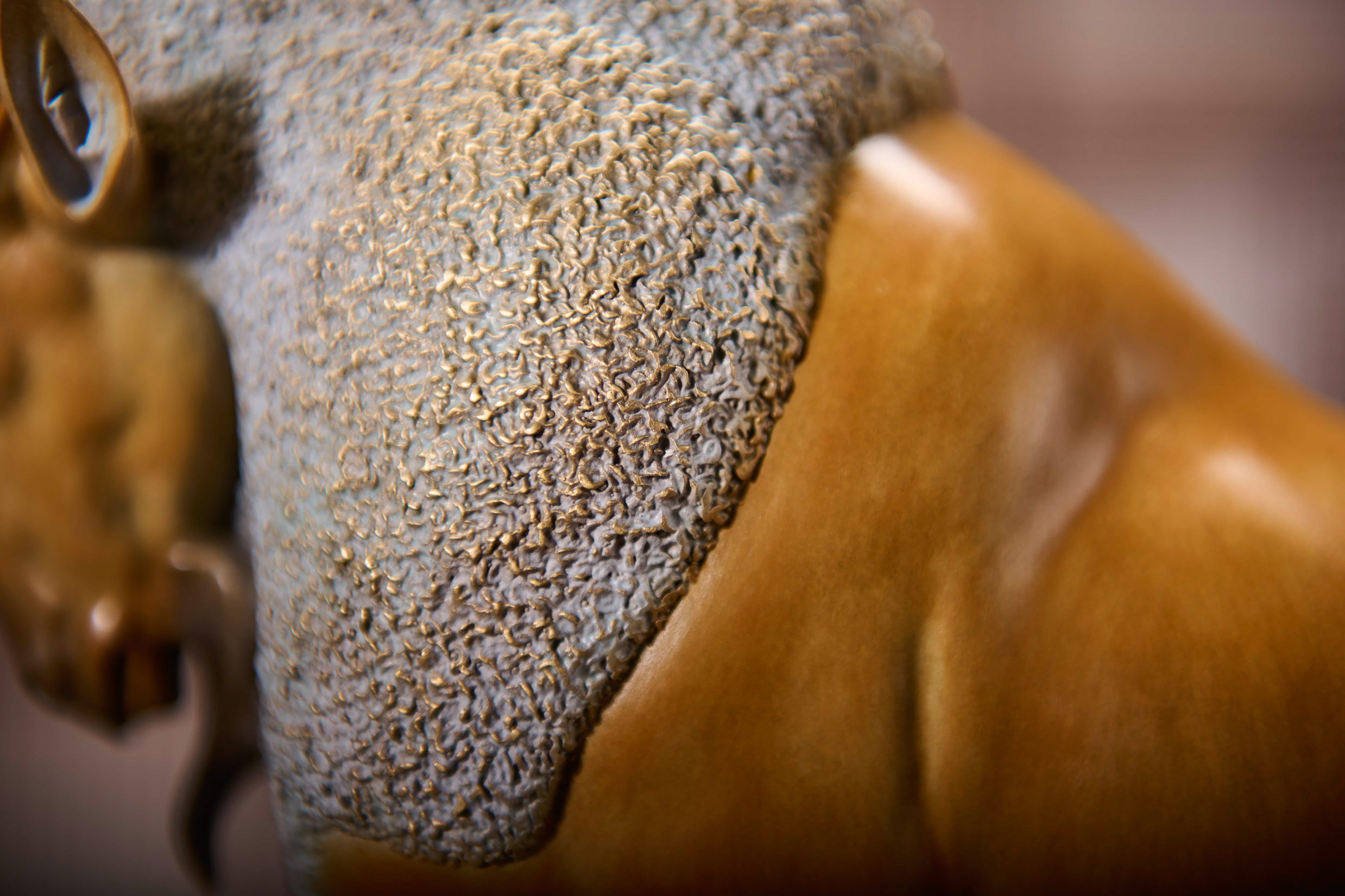 Golden ibex on rock (two sizes) — neck and fur close-up.