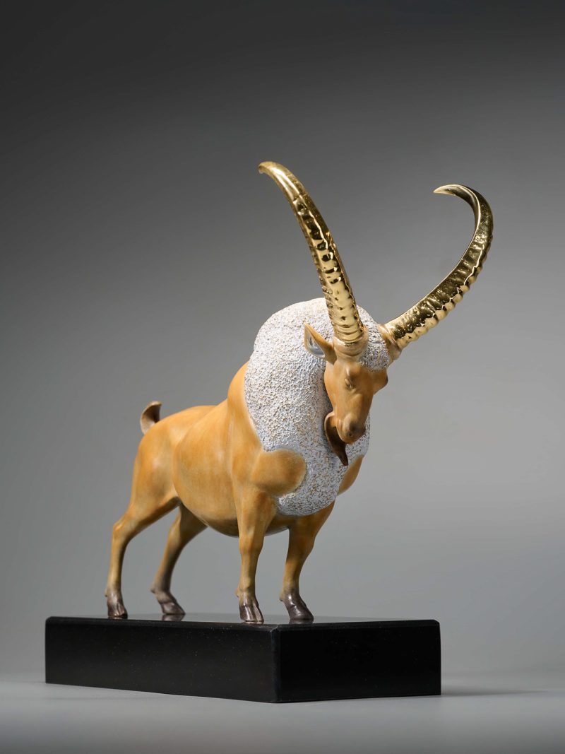 antelope