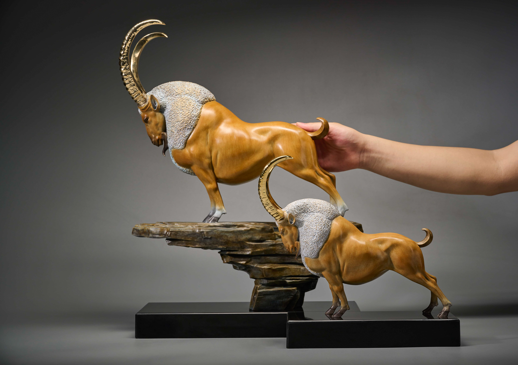 Golden ibex on rock (two sizes) — pair scale view.