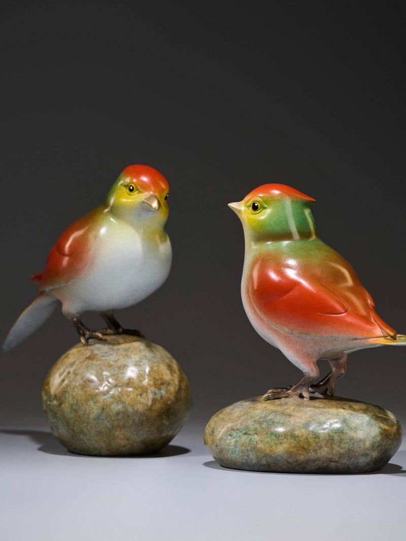 Cute little bird