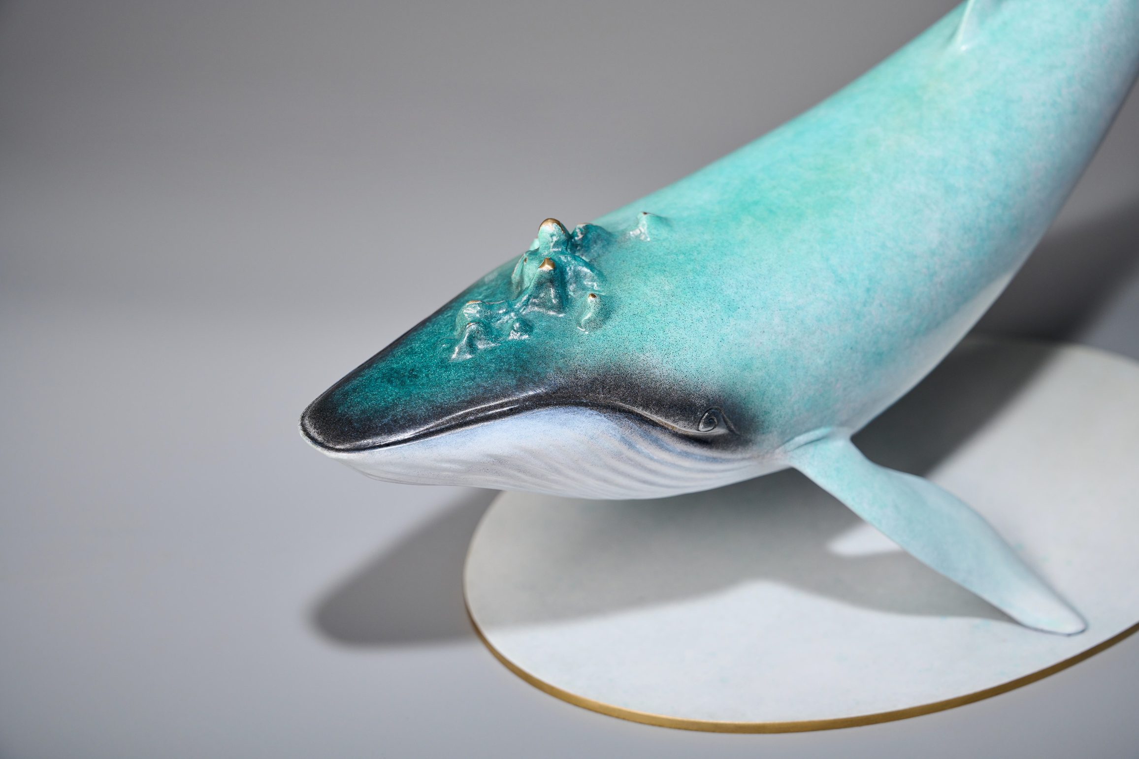 Blue-green whale with golden calf — head close-up.
