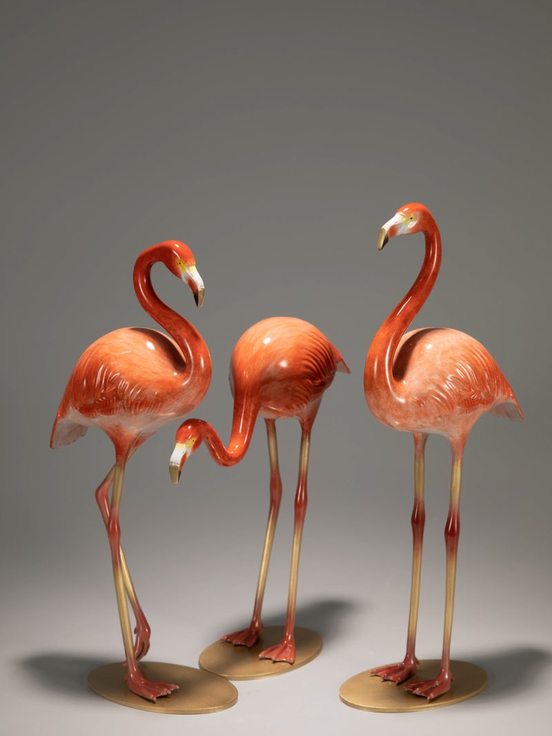 flamingo