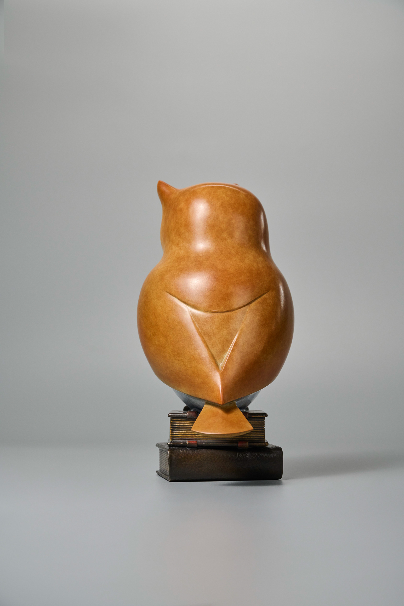 Cartoon owl with red bow tie on books — rear view.