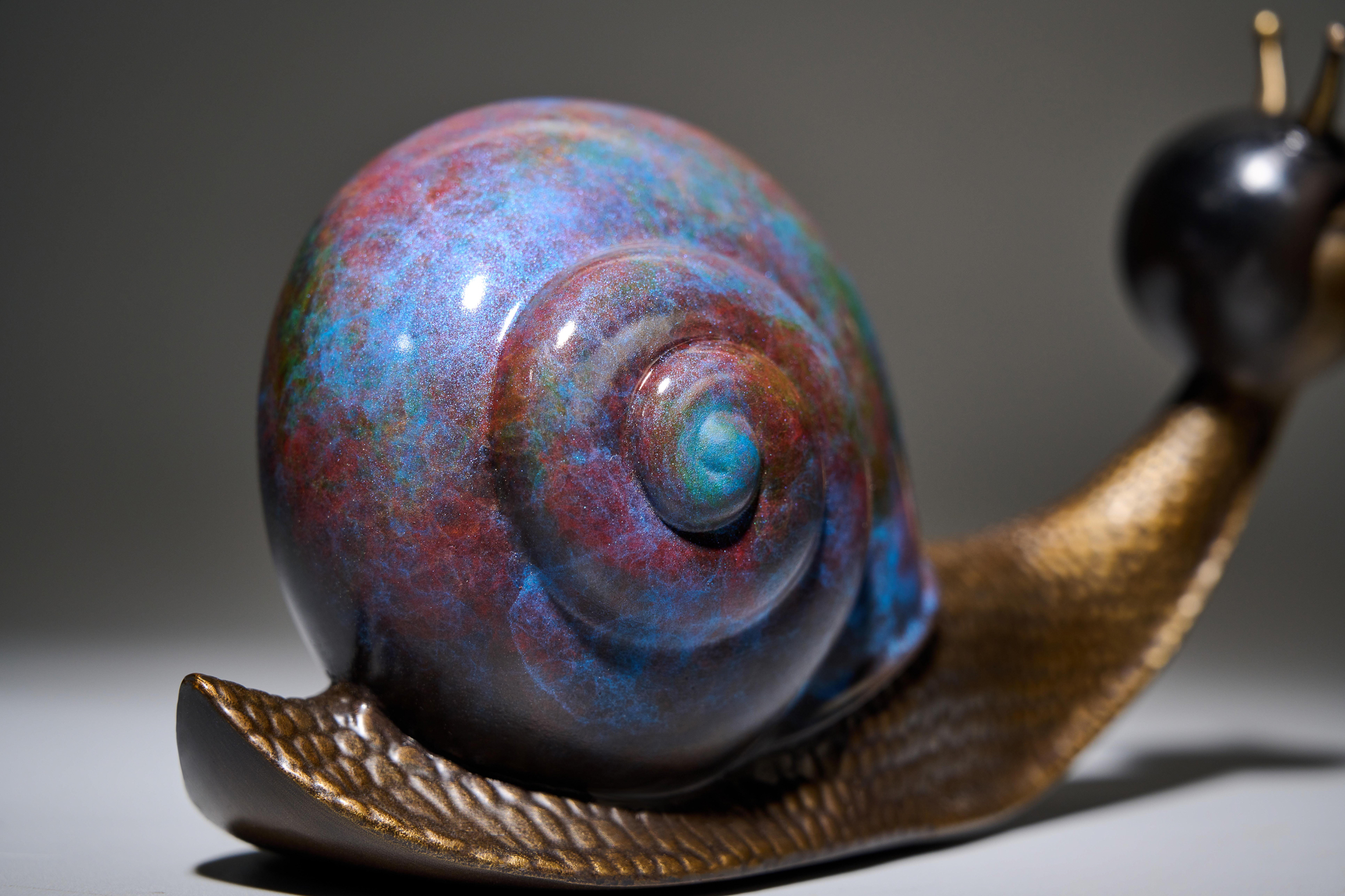 Copper snail with blue shell — shell close-up.