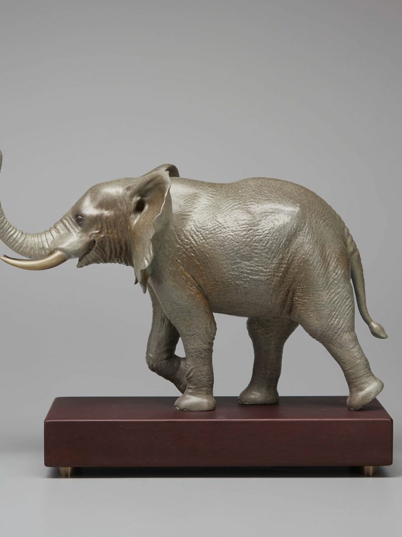 An elephant with its nose pointing upwards