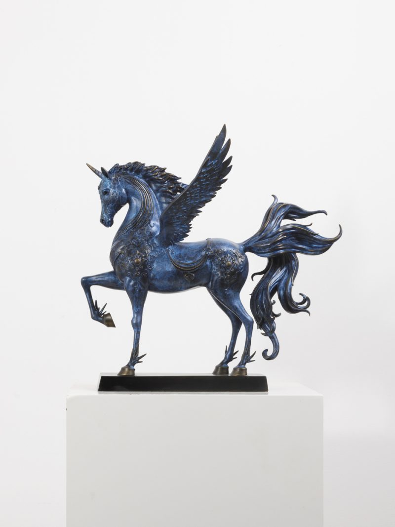 The mysterious blue unicorn