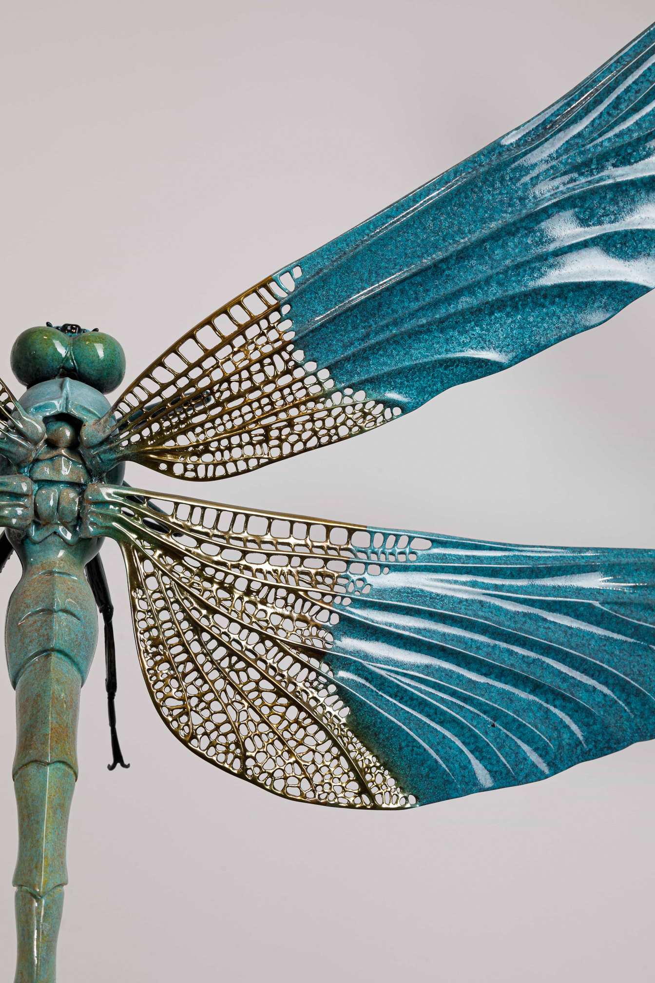Turquoise dragonfly (two sizes) — wings top close-up.
