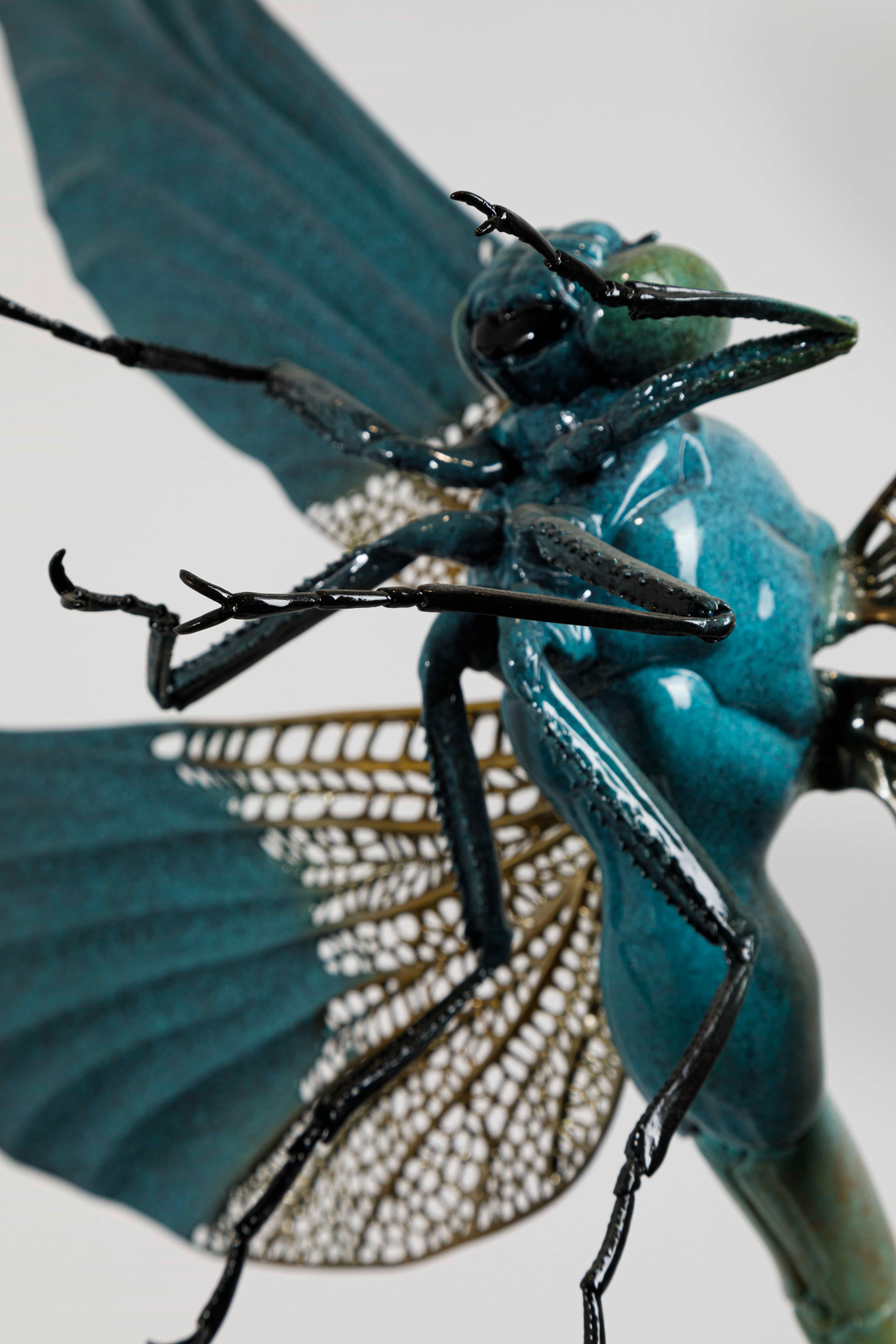 Turquoise dragonfly (two sizes) — head and wings close-up.