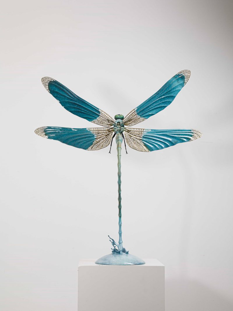 dragonfly
