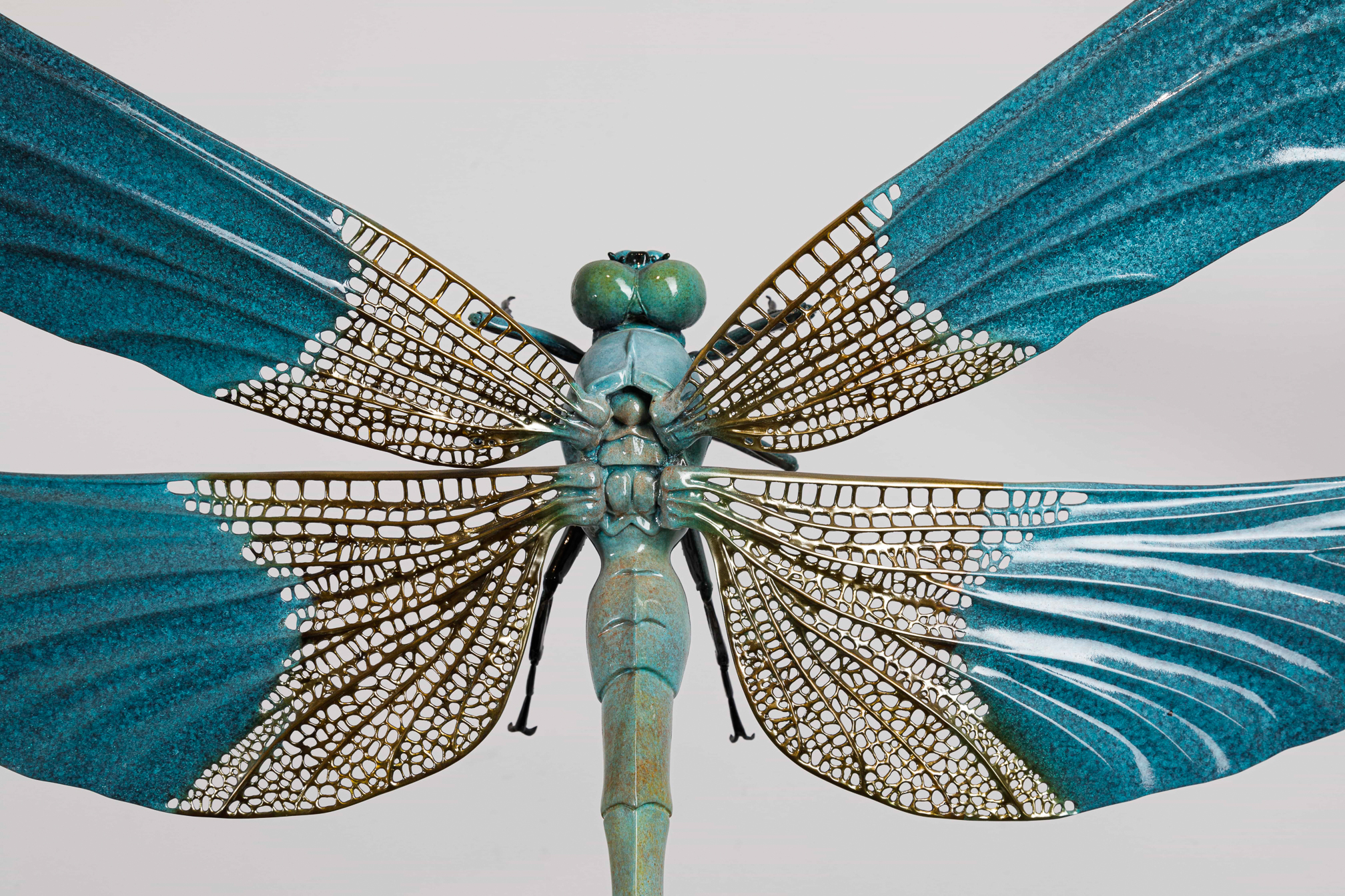 Turquoise dragonfly (two sizes) — wings front close-up.