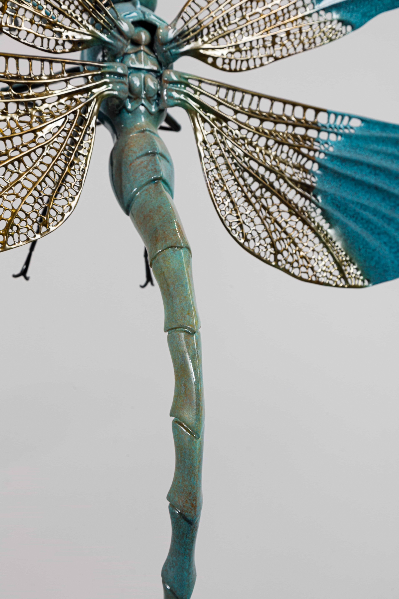 Turquoise dragonfly (two sizes) — abdomen close-up.