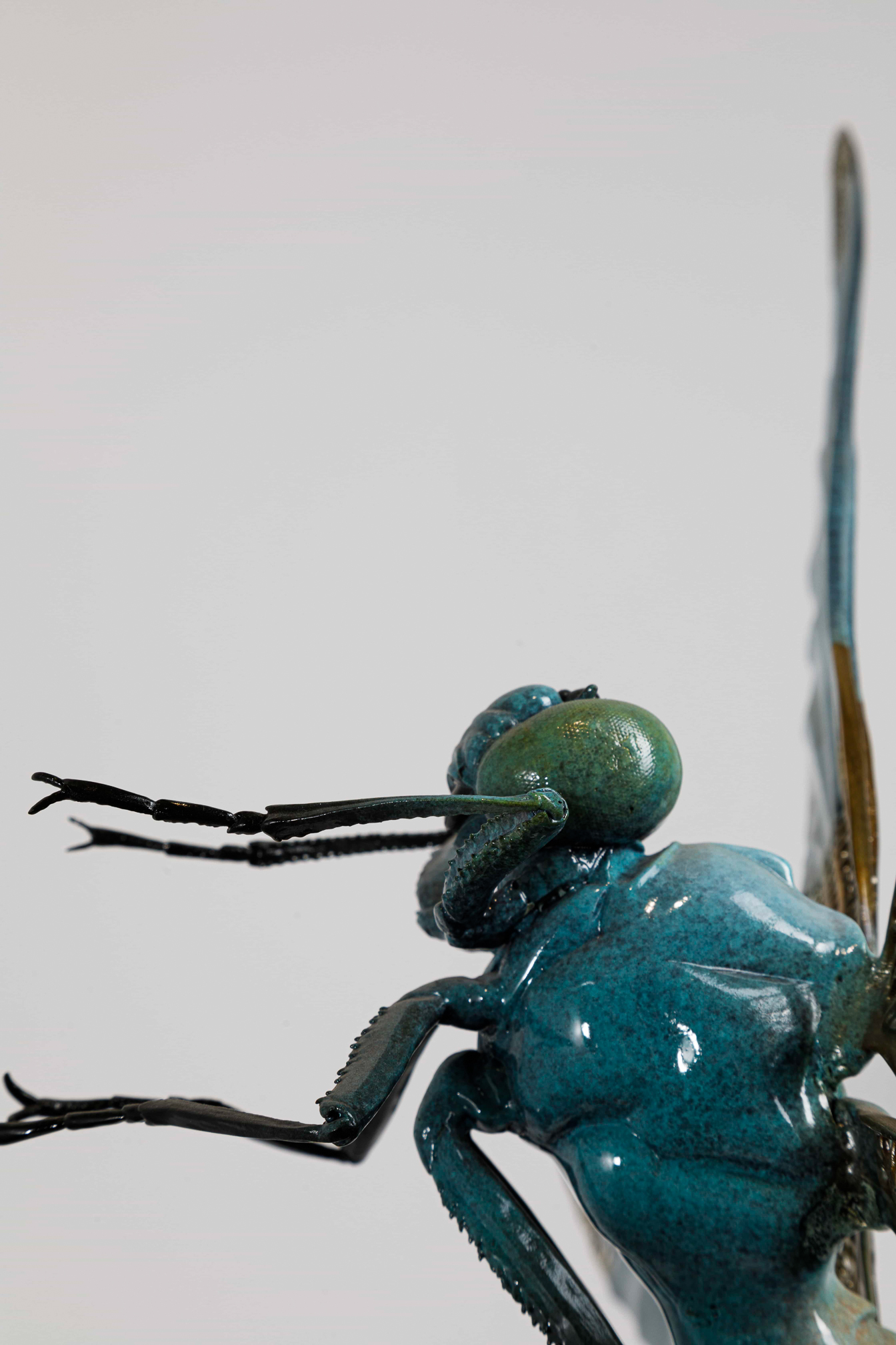 Turquoise dragonfly (two sizes) — head close-up.