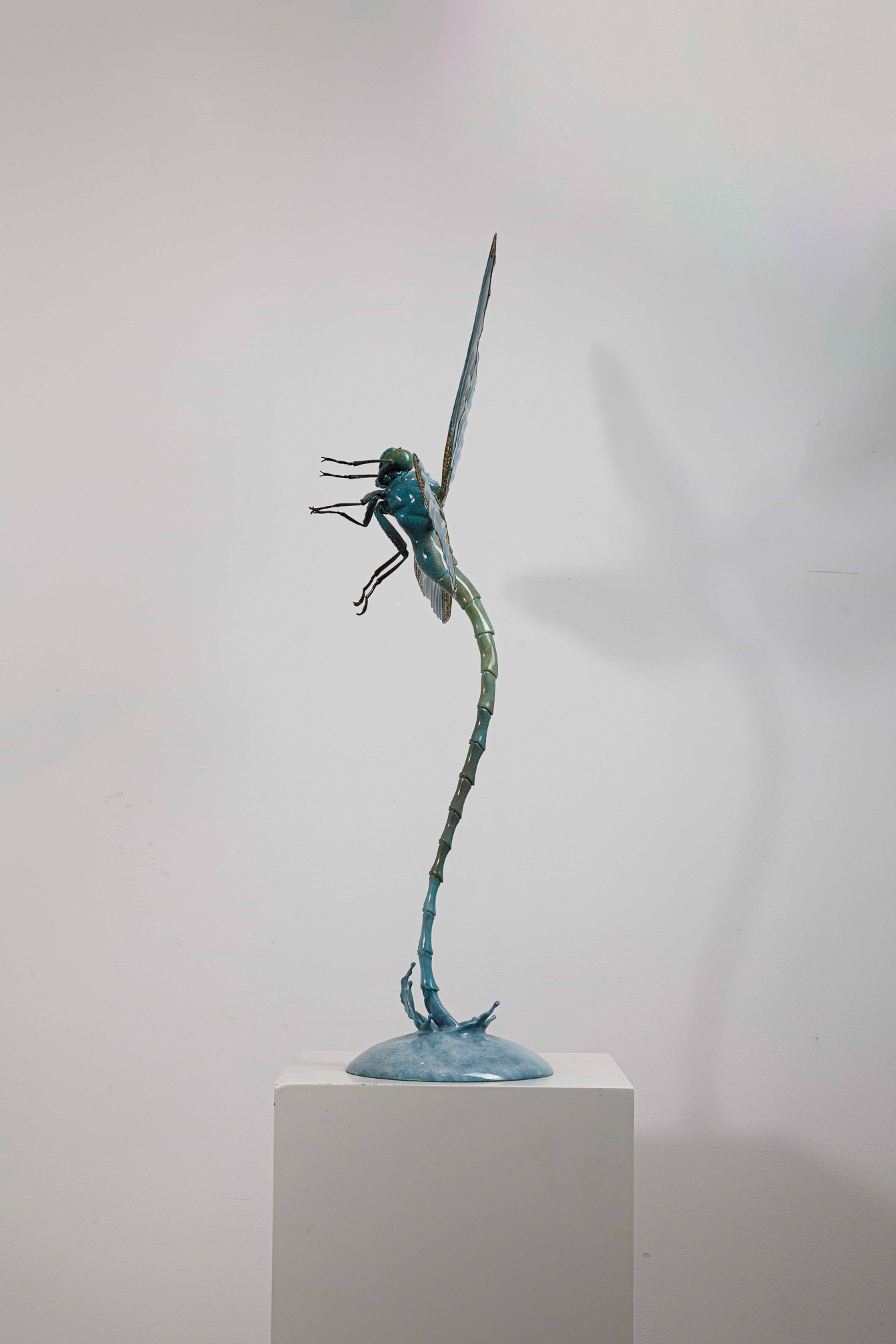 Turquoise dragonfly (two sizes) — small side view.