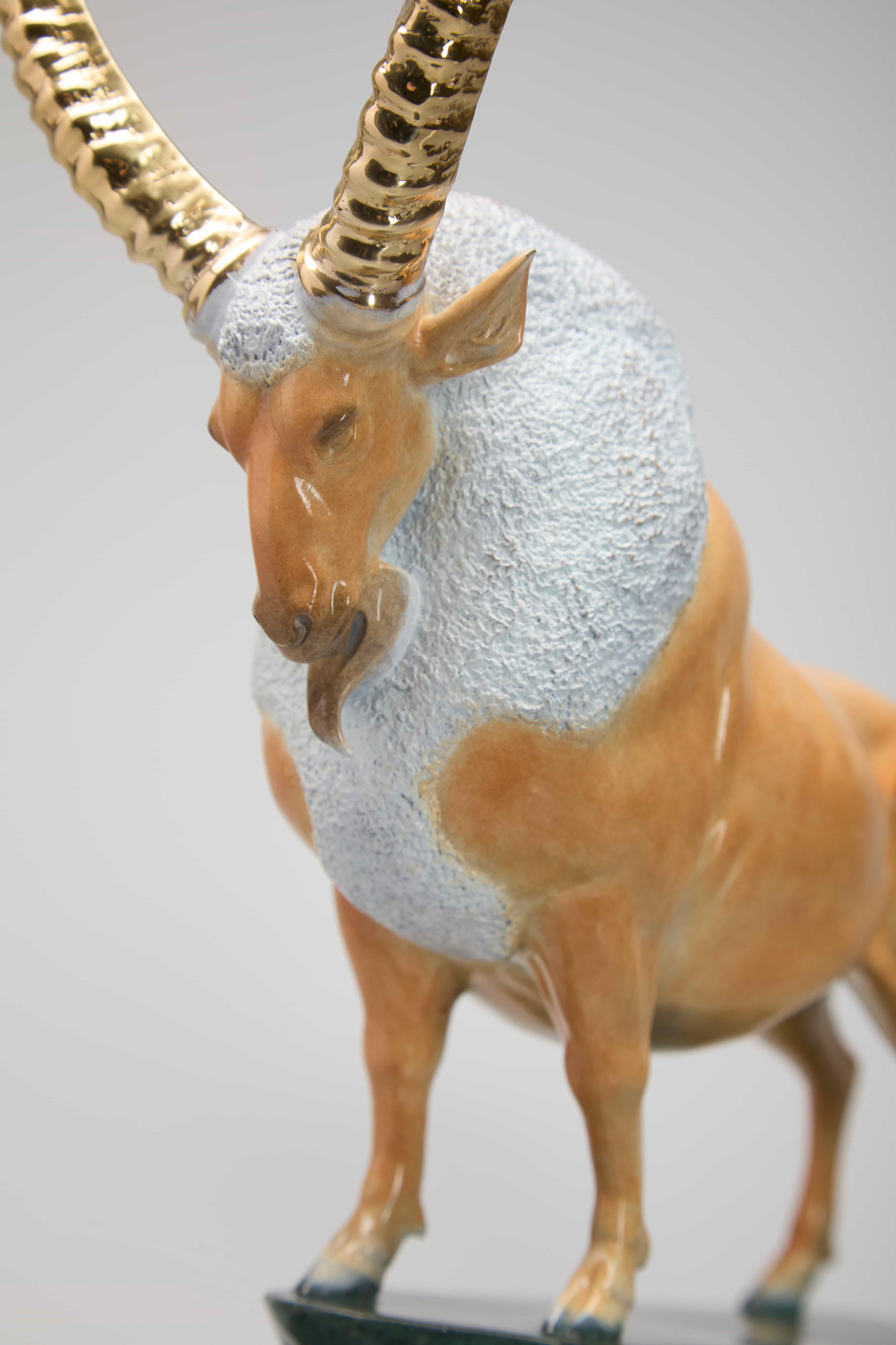 Golden ibex on green-and-gold cliff base — head close-up.