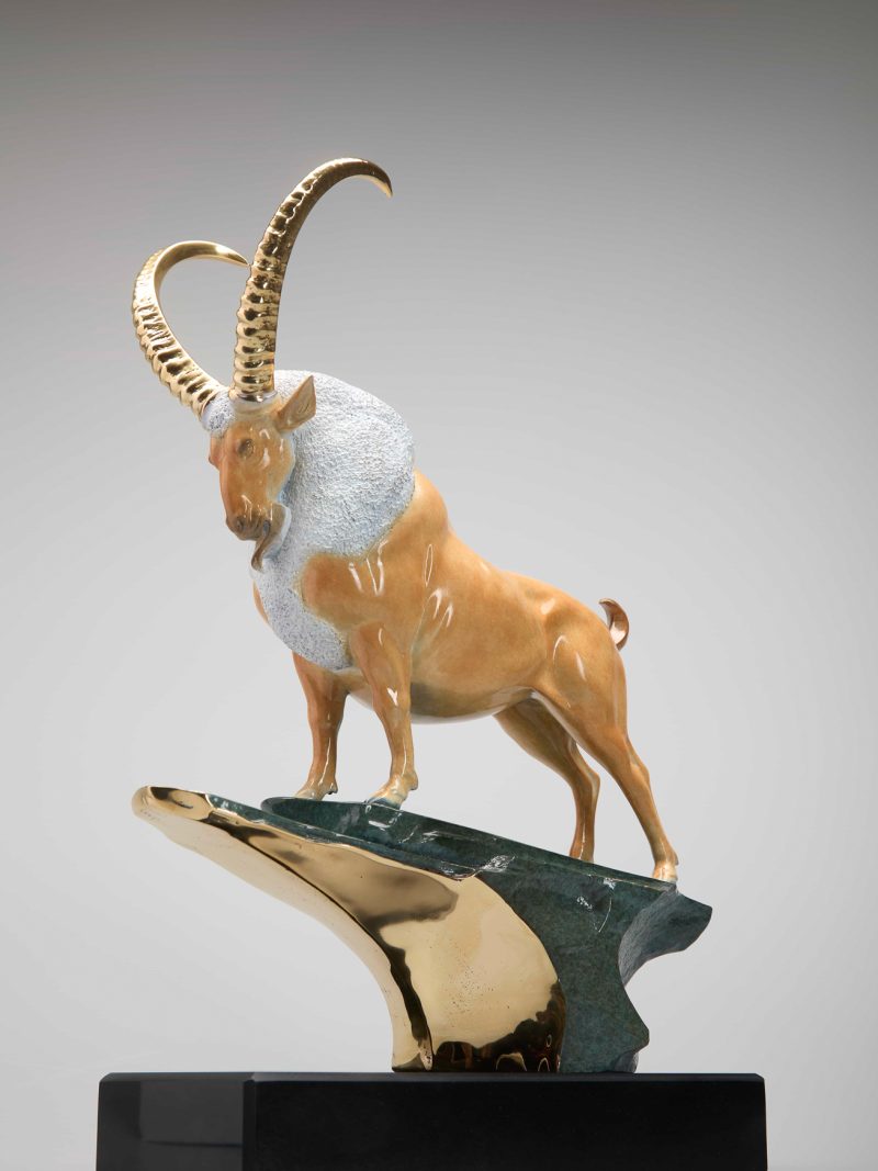 The antelope climbed up the cliff.